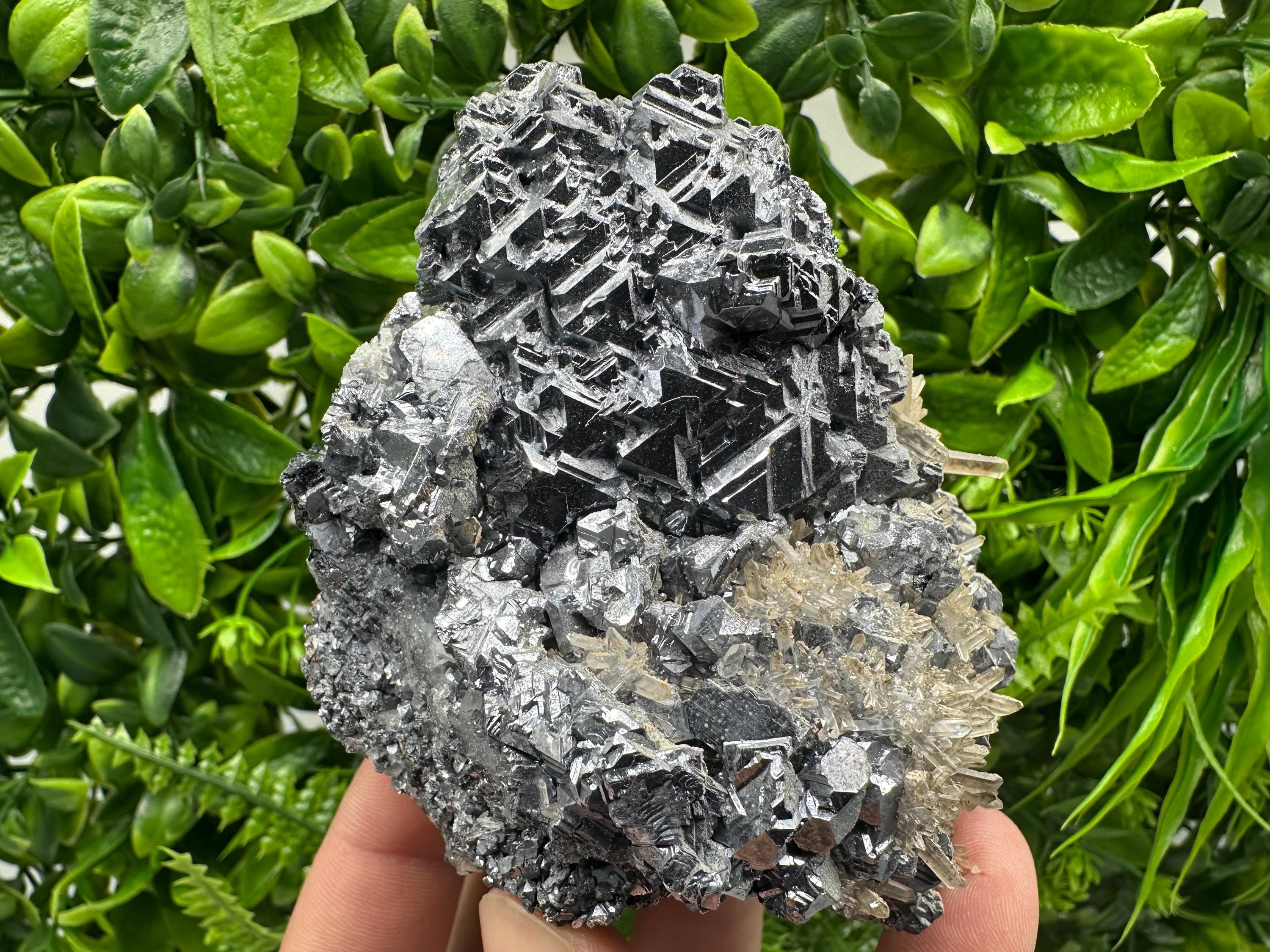 Galena Cluster with Quartz, Krushev Dol Mine, Bulgaria
