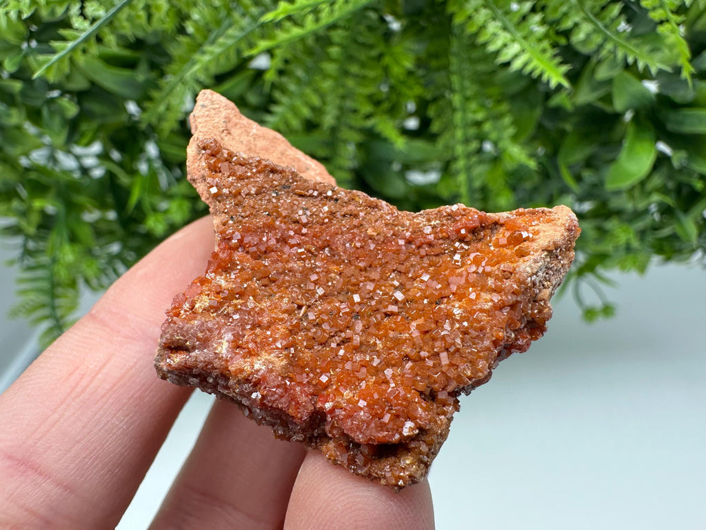 Red Vanadinite on Matrix from Marocco,crystal minerals Speciment cluster Vanadinite crystal Vanadinite Geology Vanadinite cluster minerals