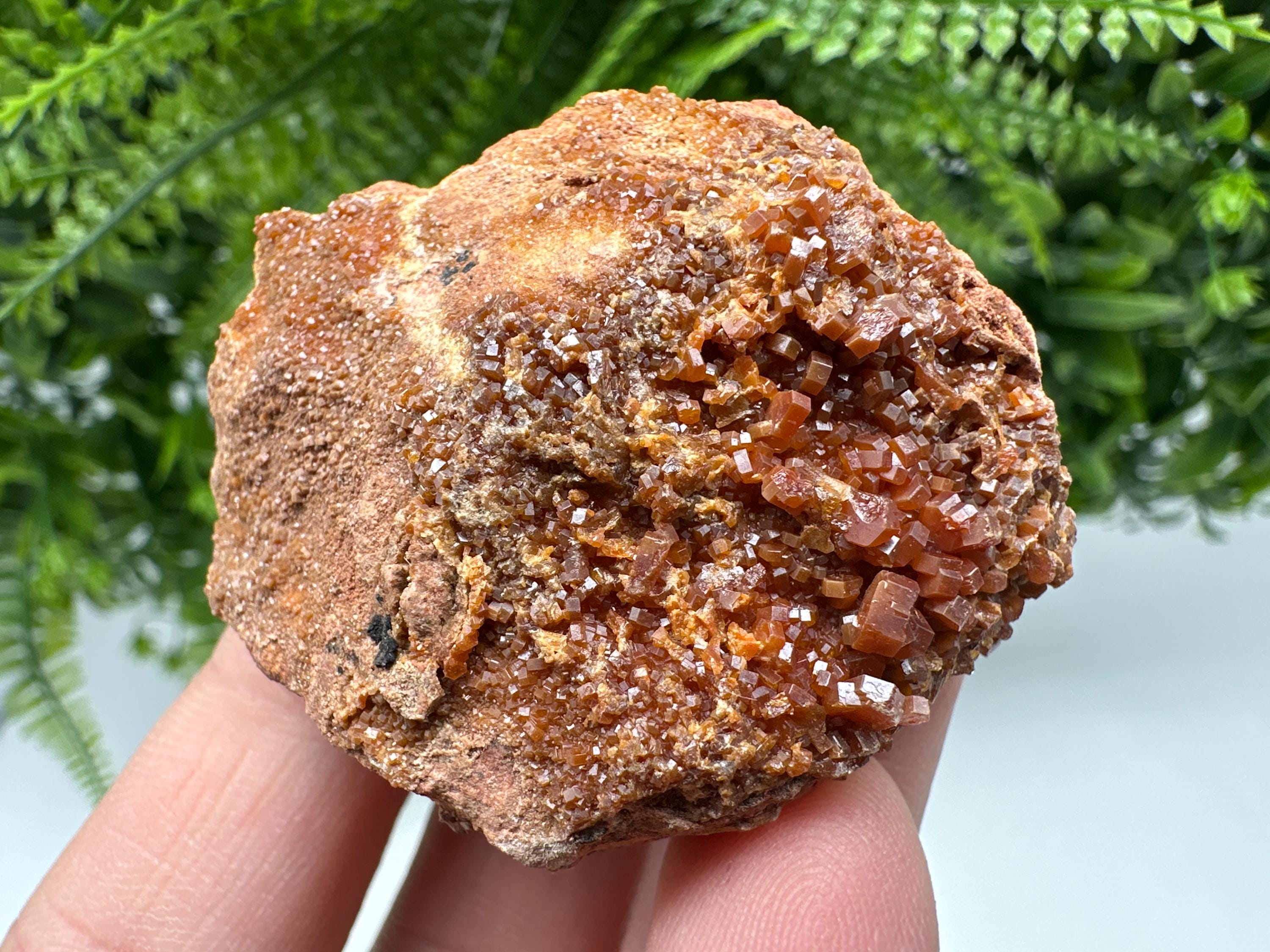 Red Vanadinite on Matrix from Marocco,crystal minerals Speciment cluster Vanadinite crystal Vanadinite Geology Vanadinite cluster minerals