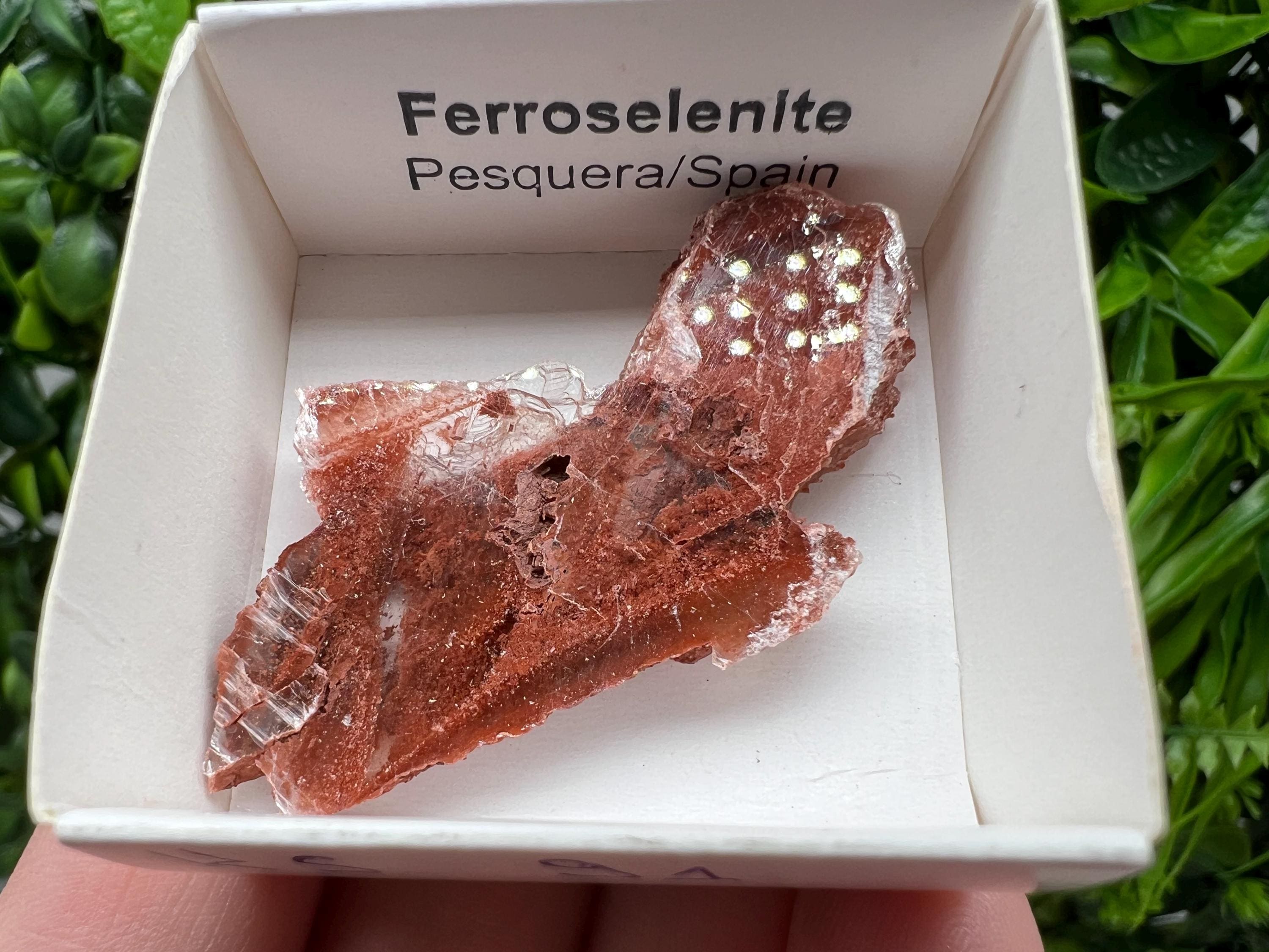 Rare Ferroselenite Mineral Specimen, La Pesquera Spain