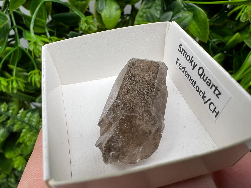 Rare Smoky Quartz Point, Fedenstock Switzerland Mineral Specimen (40MM)