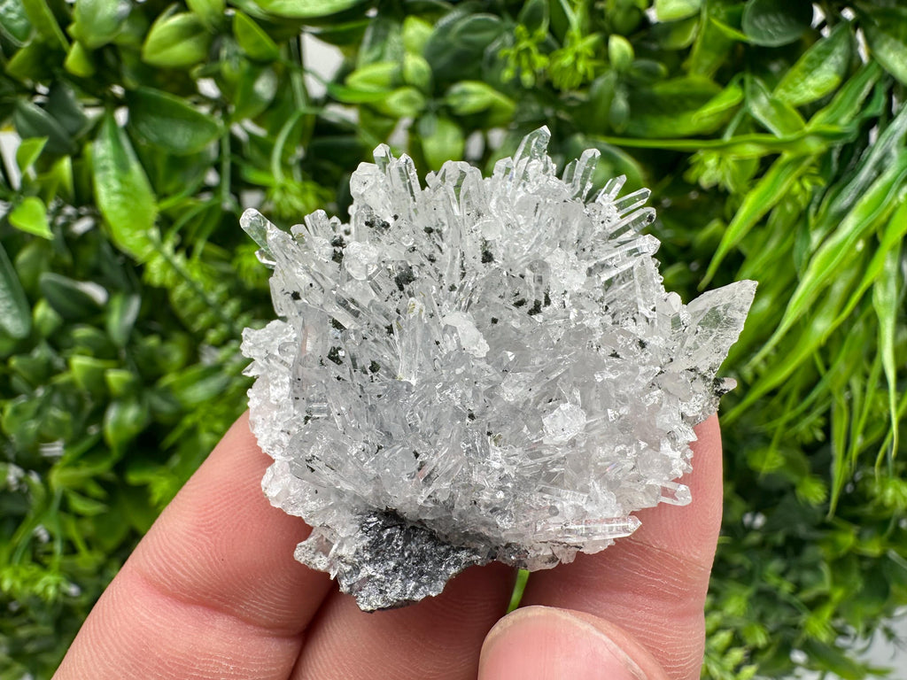 Chlorite Quartz Crystal Cluster - Borieva Mine, Bulgaria