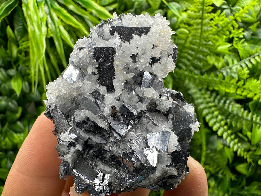 Galena with Quartz Crystal: Natural Mineral Specimen, Bulgaria