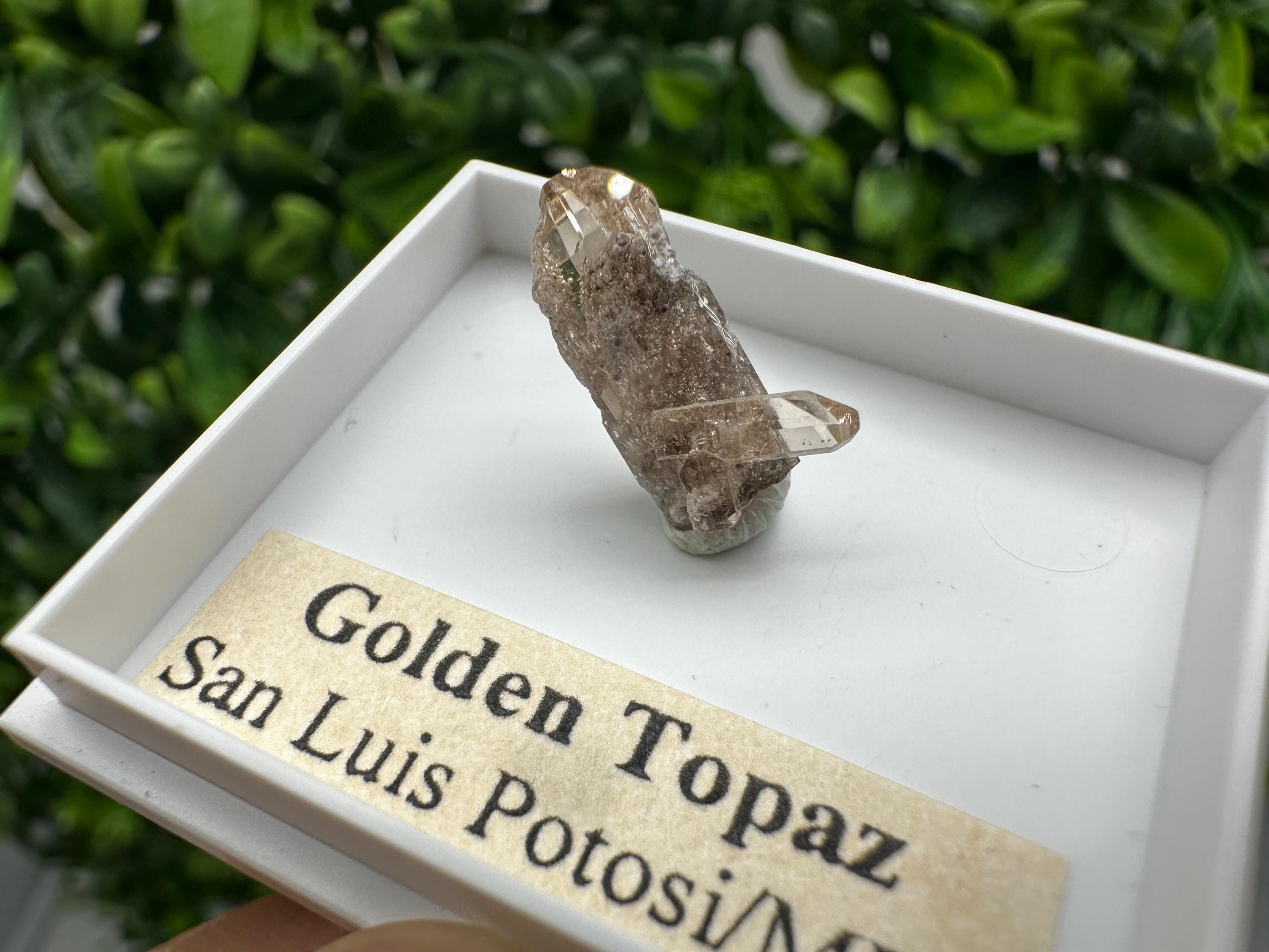 Beautiful Golden Topaz from Mexico,collection piece Crystal,Mineral,collectibles,Collectors, Natural Crystal, Minerals from Mexico,original,