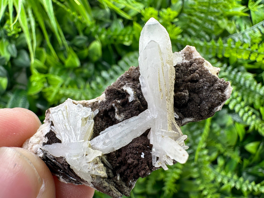 Quartz with Chlorite on Rhodochrosite and Siderite