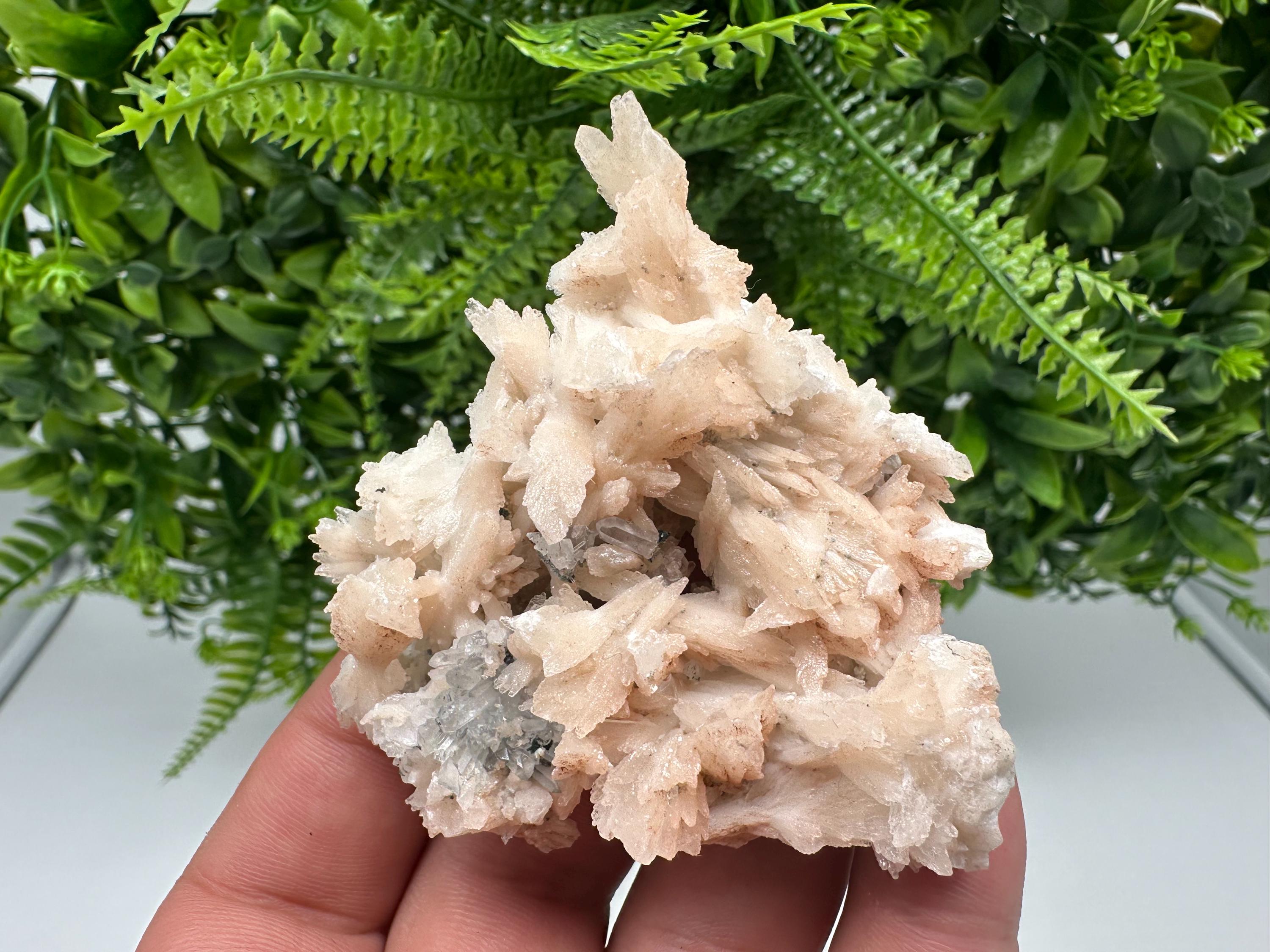 Calcite on Green Quartz: Djurcovo Mine, Bulgaria Crystal