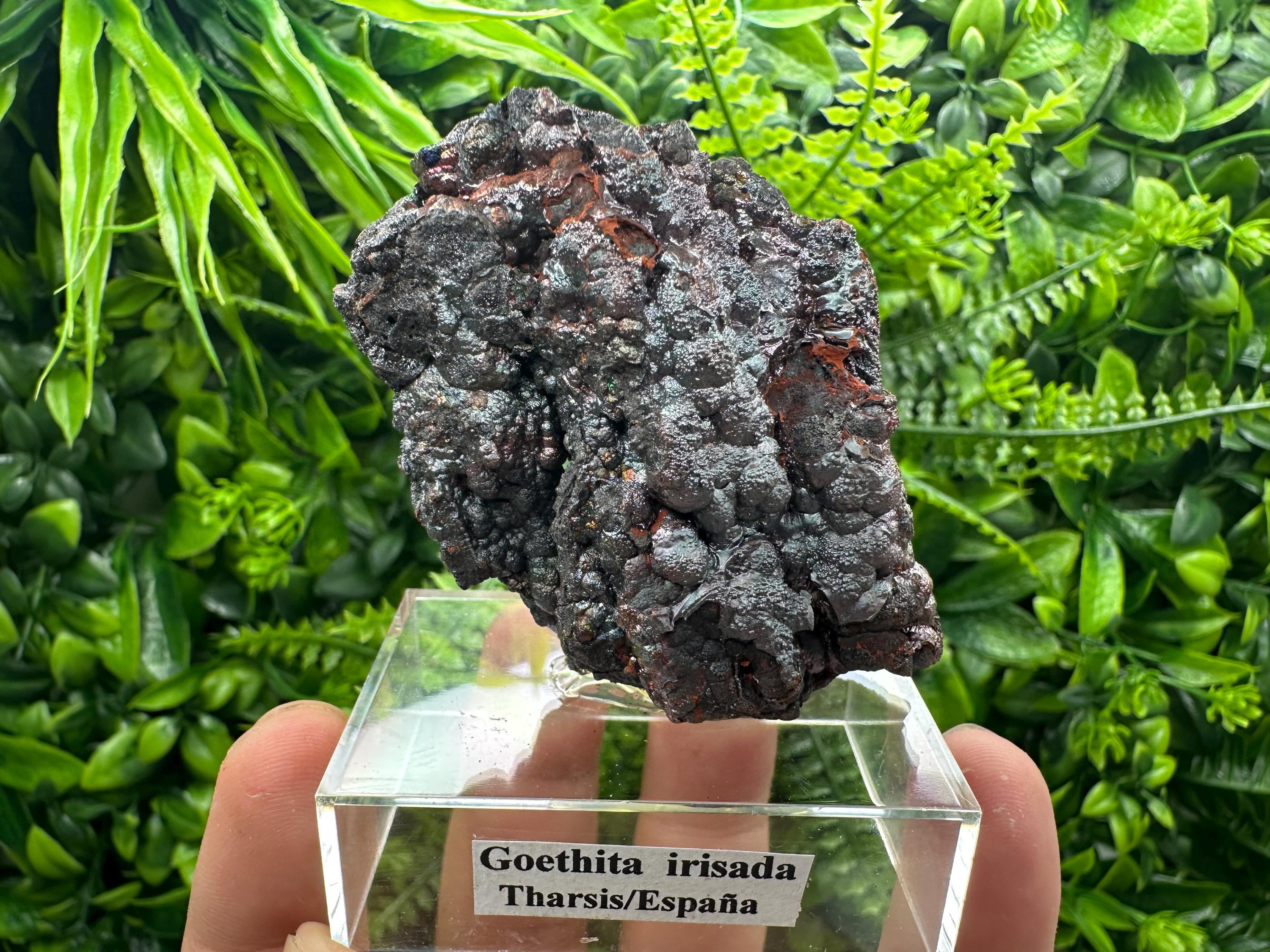 Iridescent Goethite Cluster, Spanish Mineral Specimen