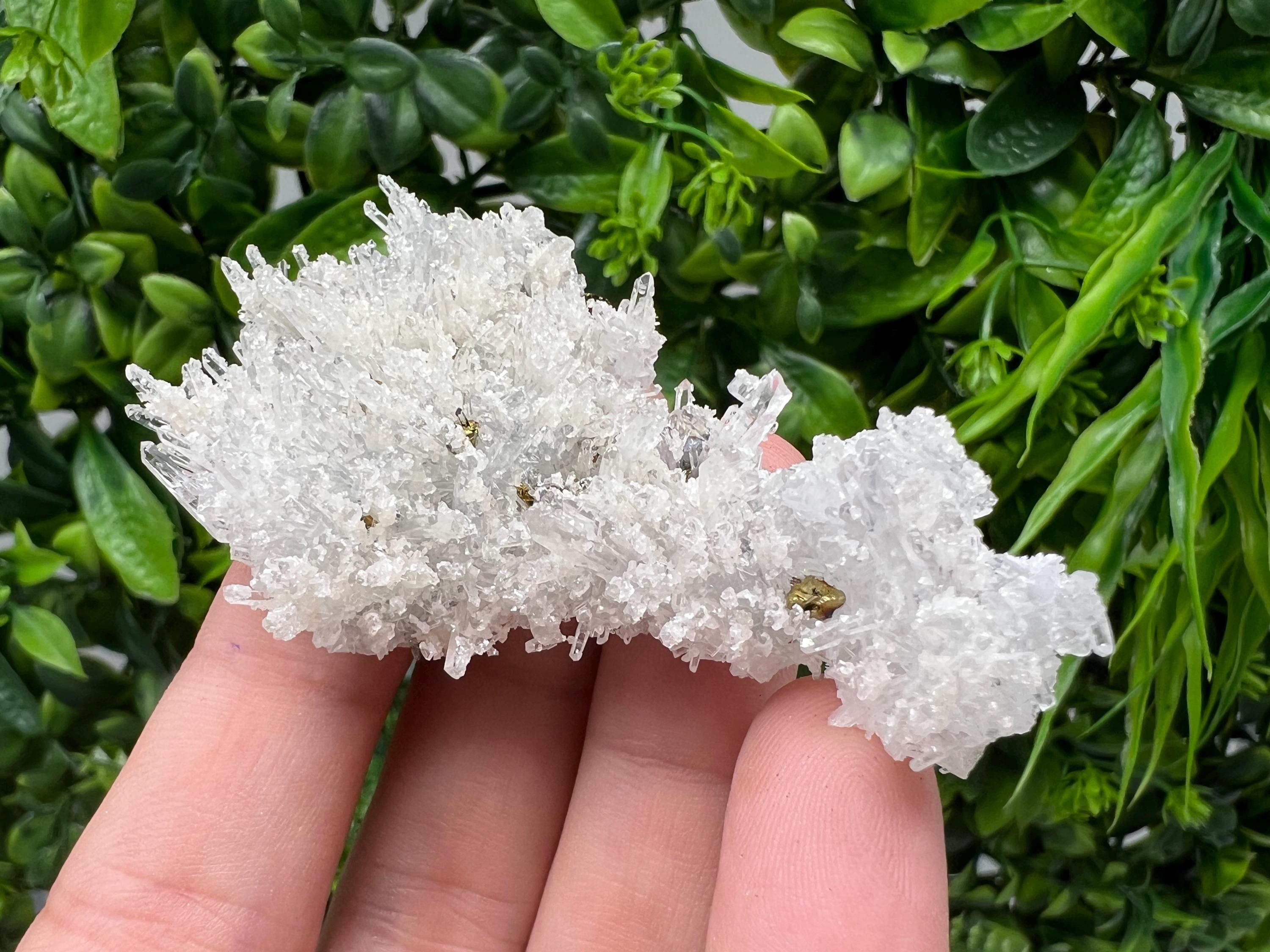 Wonderful Transparent Quartz on Chlorite Matrix,From Borieva mine,Madan,Bulgaria,Quartz,Quartz crystal,mineral specimen,collection quartz