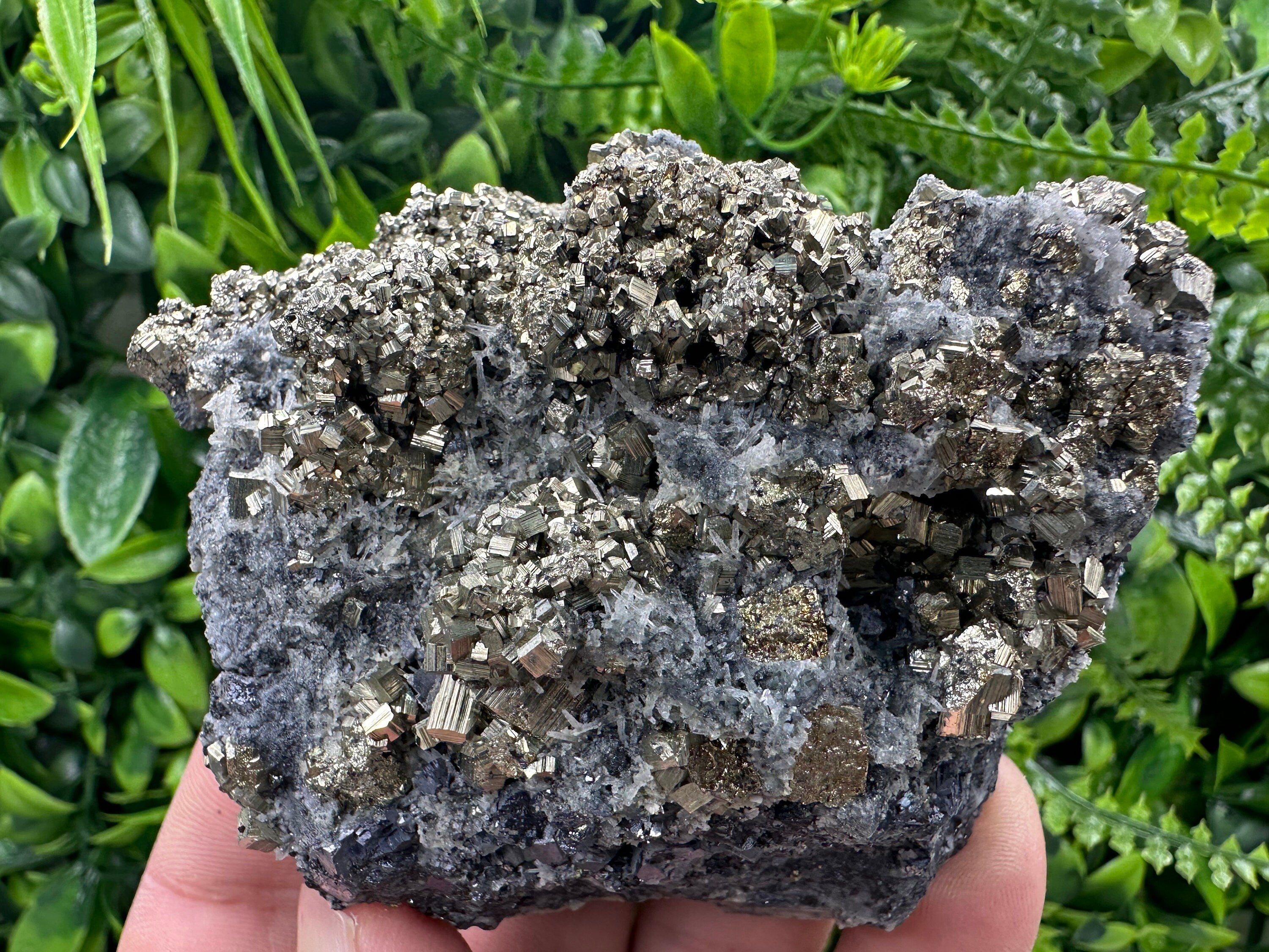 Pyrite on Quartz: Borieva Mine Crystal Decor (9/7/4.5cm)