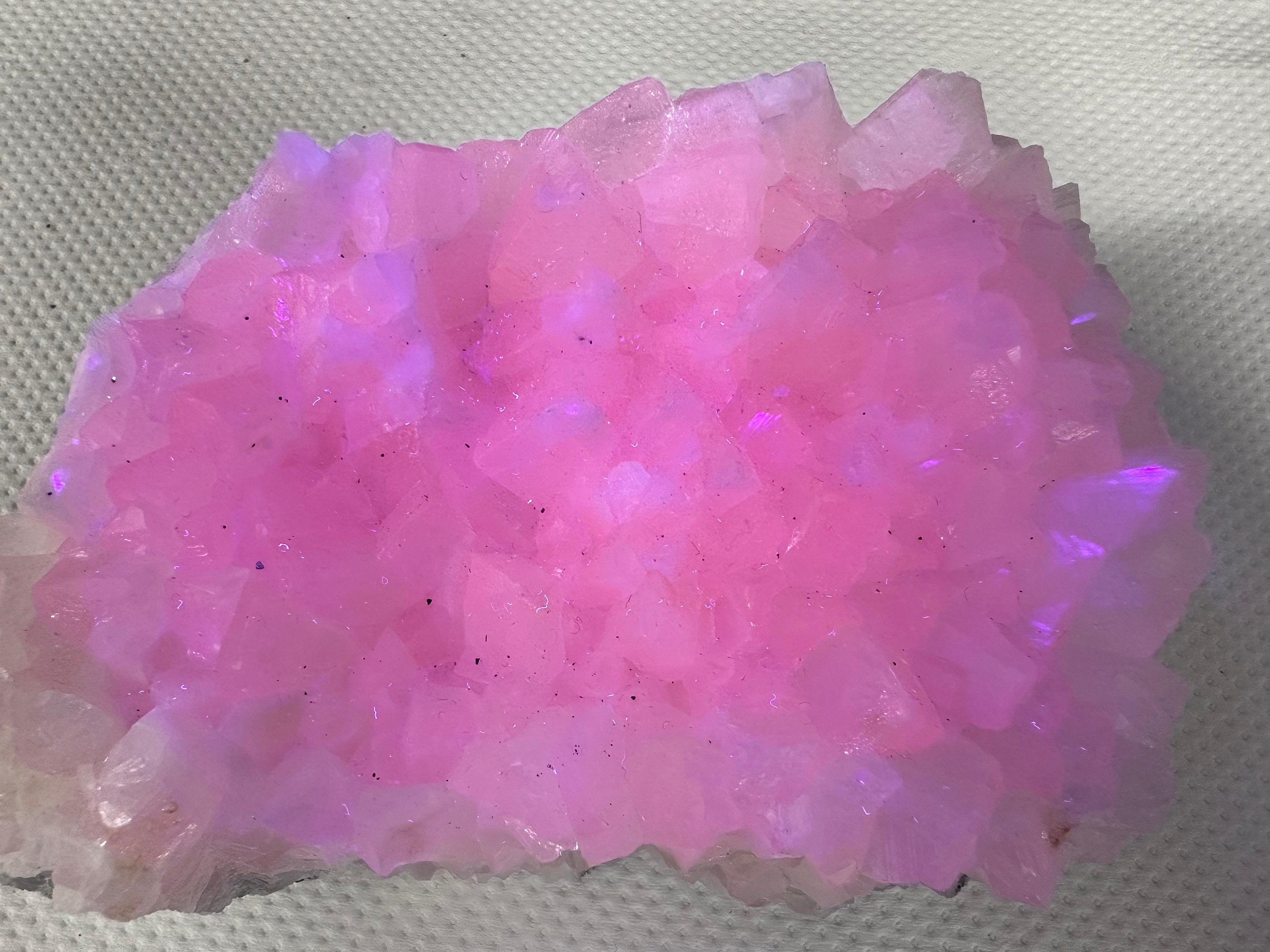 UV Reactive Mangano Calcite, Androvo Mine Bulgaria, Mineral Specimen