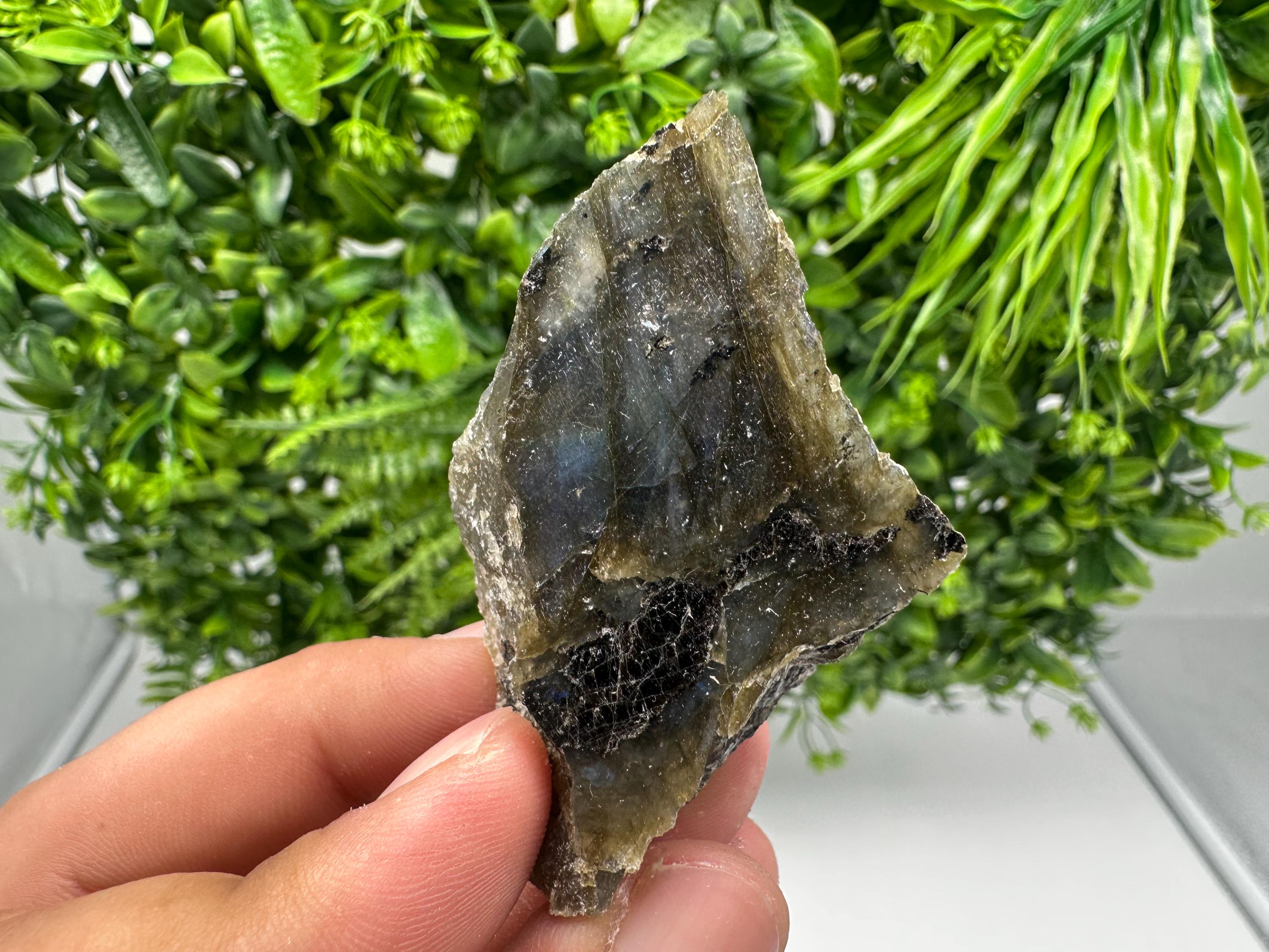 Polished Multifire Labradorite Slab: Crystal Decor, Crystal Grid (6.5/4/1.5 CM, 50 Grams)