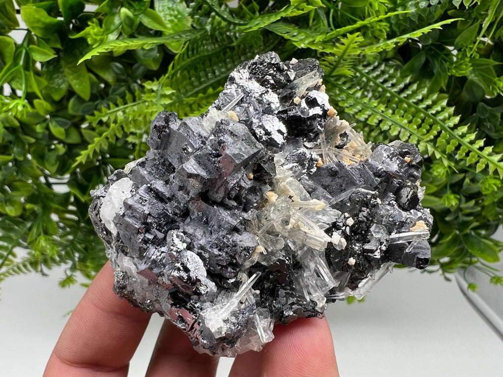 Galena Sphalerite Quartz Mineral Specimen, Krushev dol Mine, Bulgaria
