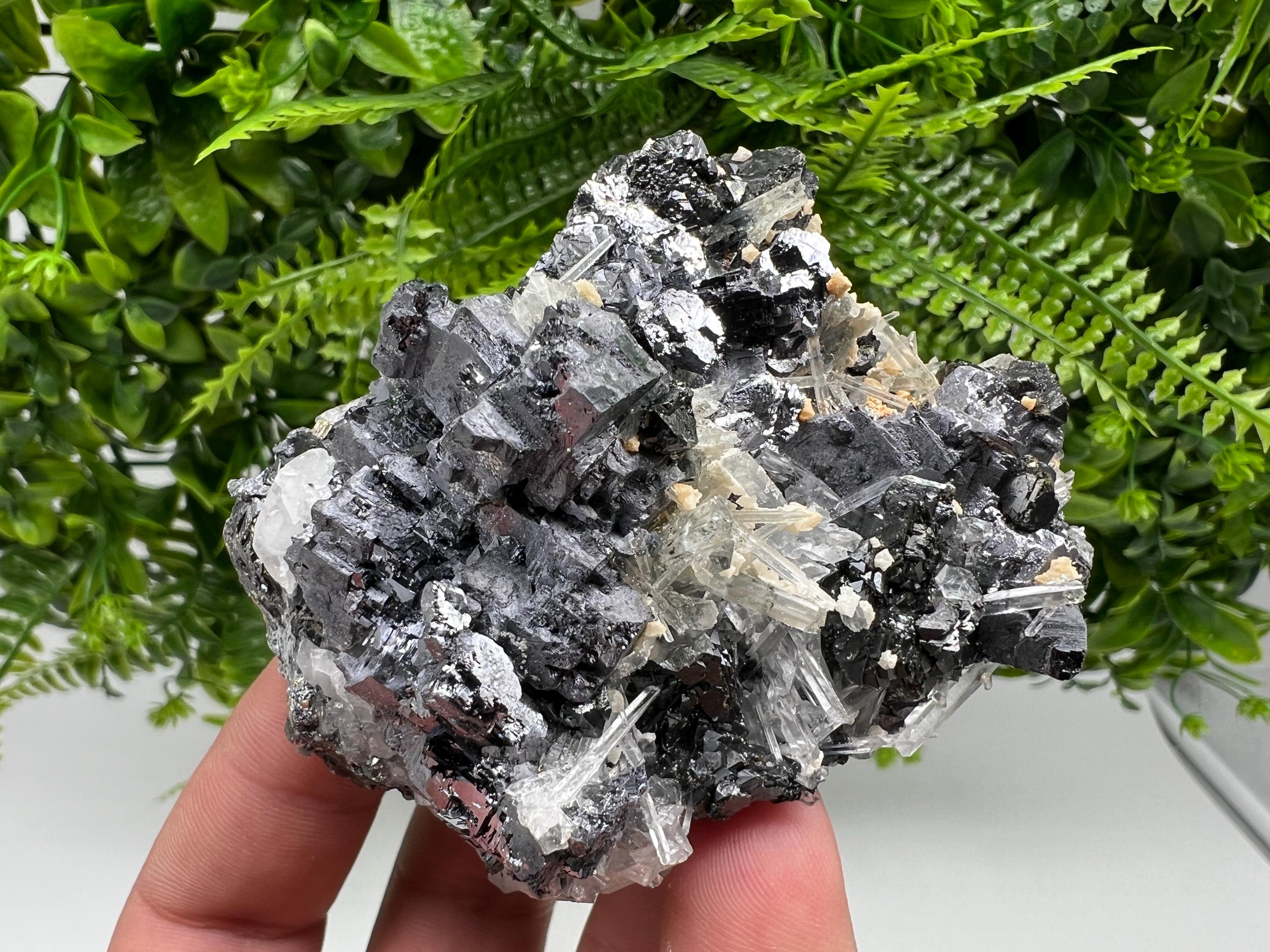 Galena Sphalerite Quartz Mineral Specimen, Krushev dol Mine, Bulgaria