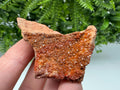 Red Vanadinite on Matrix from Marocco,crystal minerals Speciment cluster Vanadinite crystal Vanadinite Geology Vanadinite cluster minerals