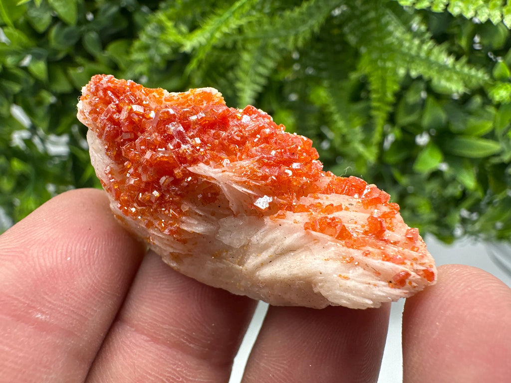 Red Vanadinite on Barite from Marocco,crystal minerals Speciment cluster Vanadinite crystal Vanadinite Geology Vanadinite cluster minerals