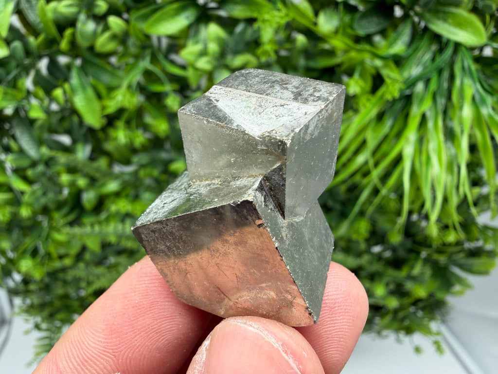 Interjoined Cube Pyrite, La Rioja Spain, Home Decor Stone