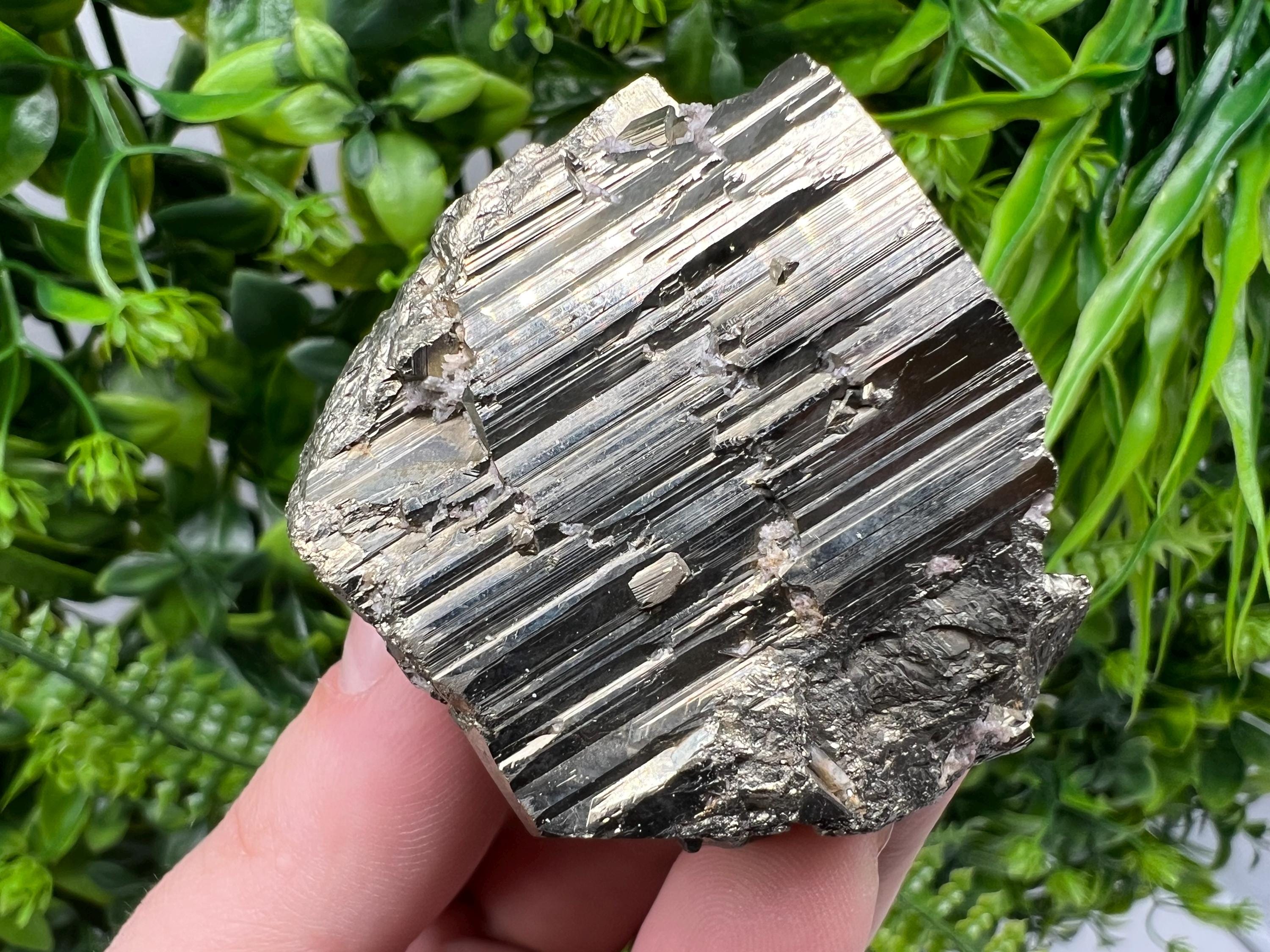 Shiny Pyrite Cluster, Borieva Mine, Bulgaria, Crystal Specimen