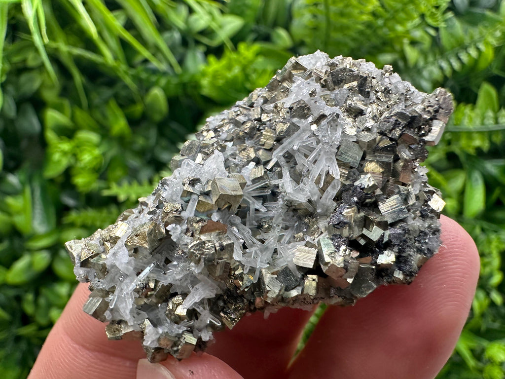 Quartz with Pyrite Specimen: Borieva Mine Crystal Decor (5/3.5 cm)