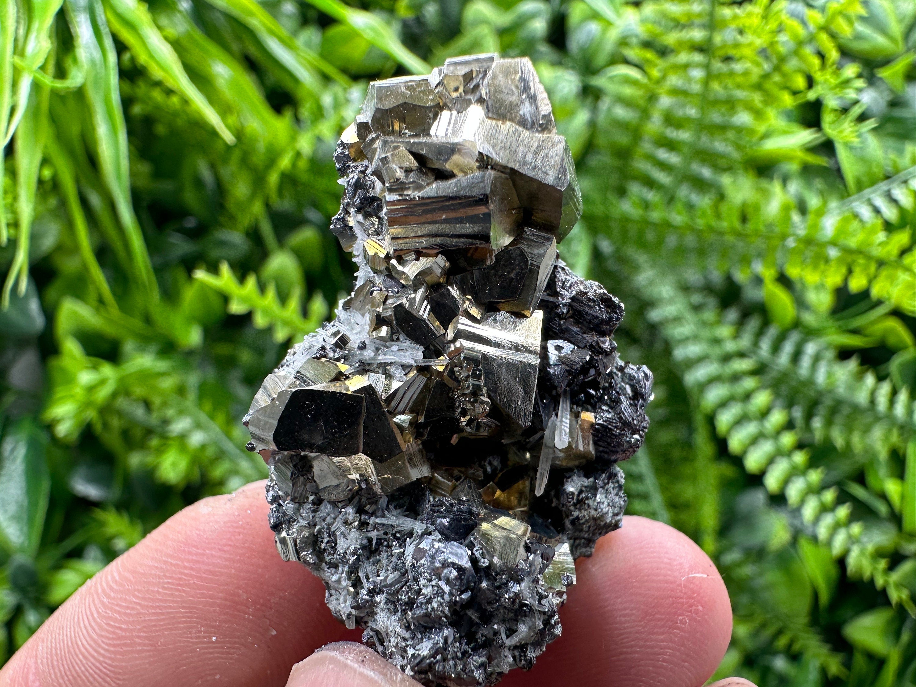 Pyrite Galena Sphalerite Quartz Mineral Specimen, Borieva Mine Bulgaria