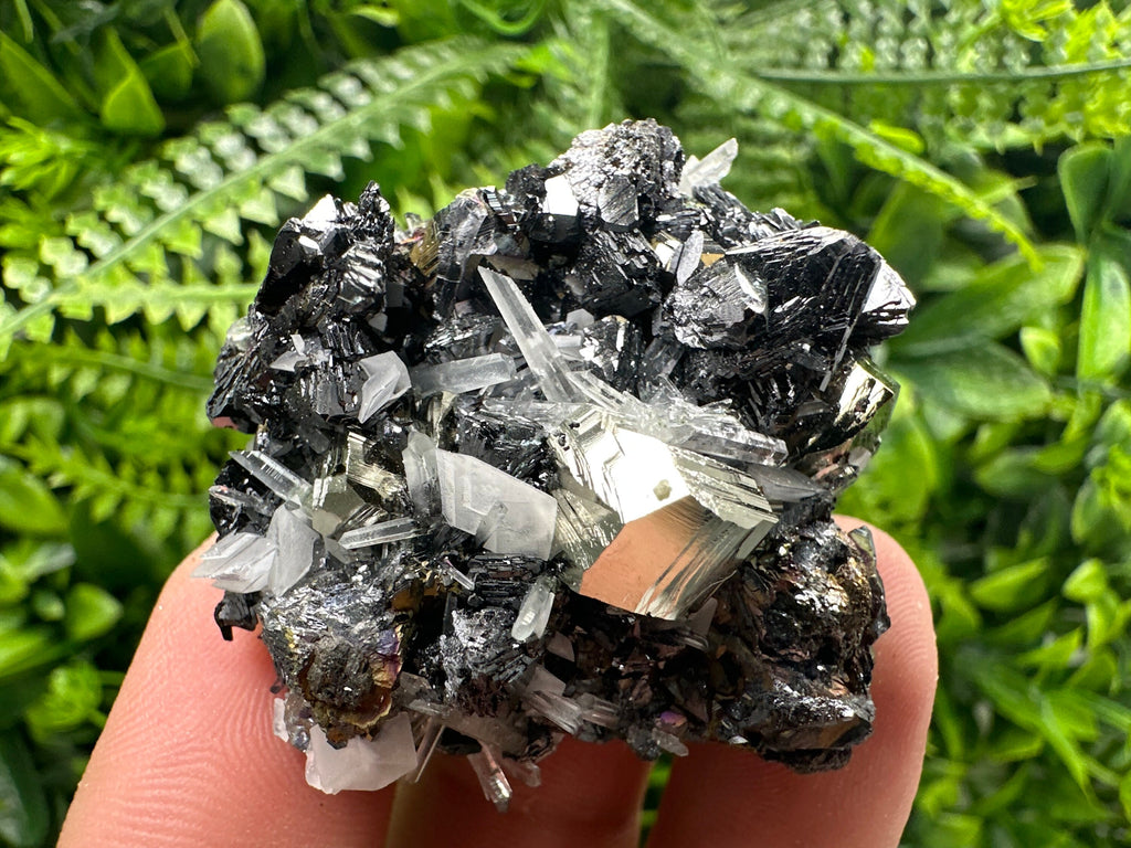Pyrite Sphalerite Quartz Cluster, Borieva Mine Mineral Specimen