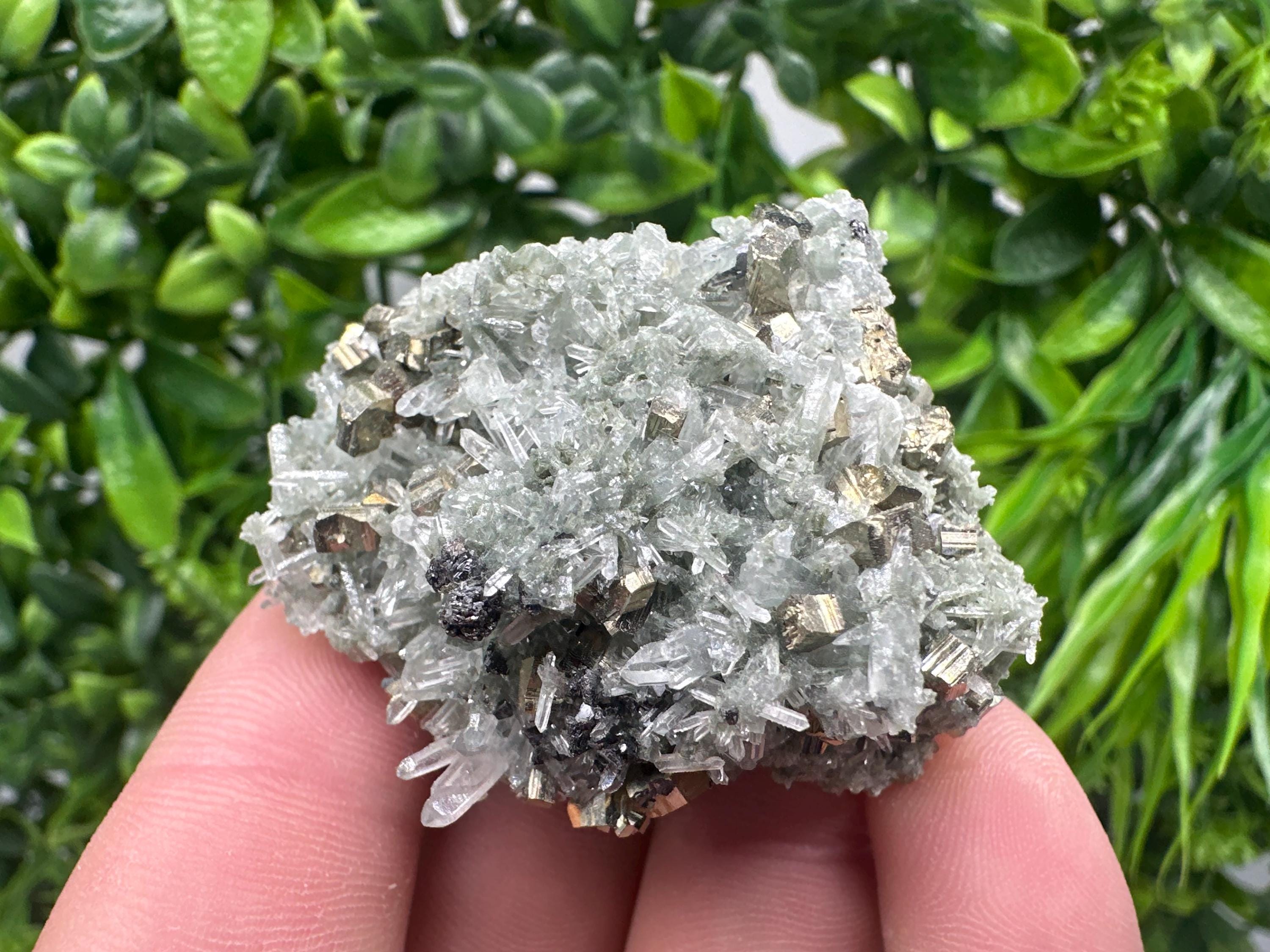 Pyrite on Green Quartz, Bulgaria Mineral Specimen