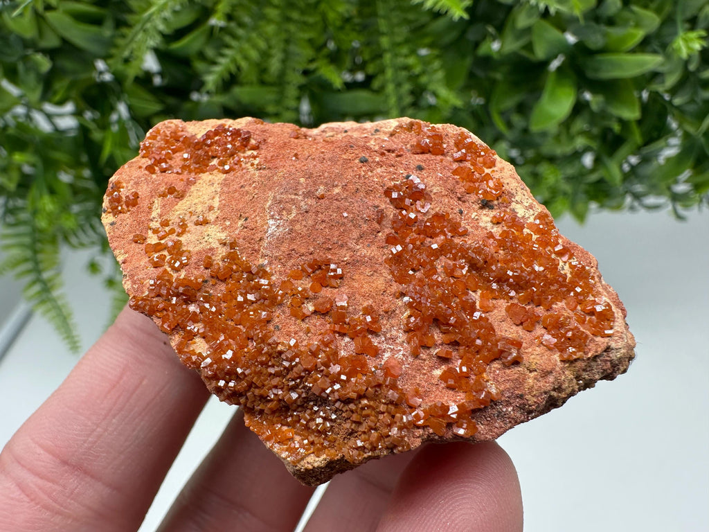 Red Vanadinite on Matrix from Marocco,crystal minerals Speciment cluster Vanadinite crystal Vanadinite Geology Vanadinite cluster minerals