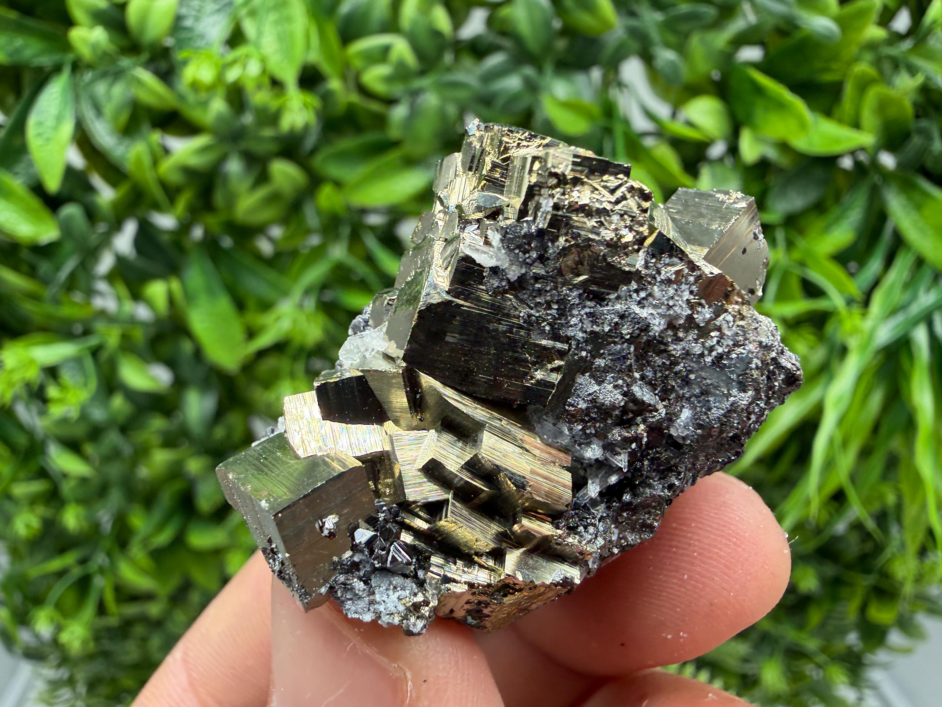 Pyrite Sphalerite Quartz  Mineral Specimen, Krushev dol Mine