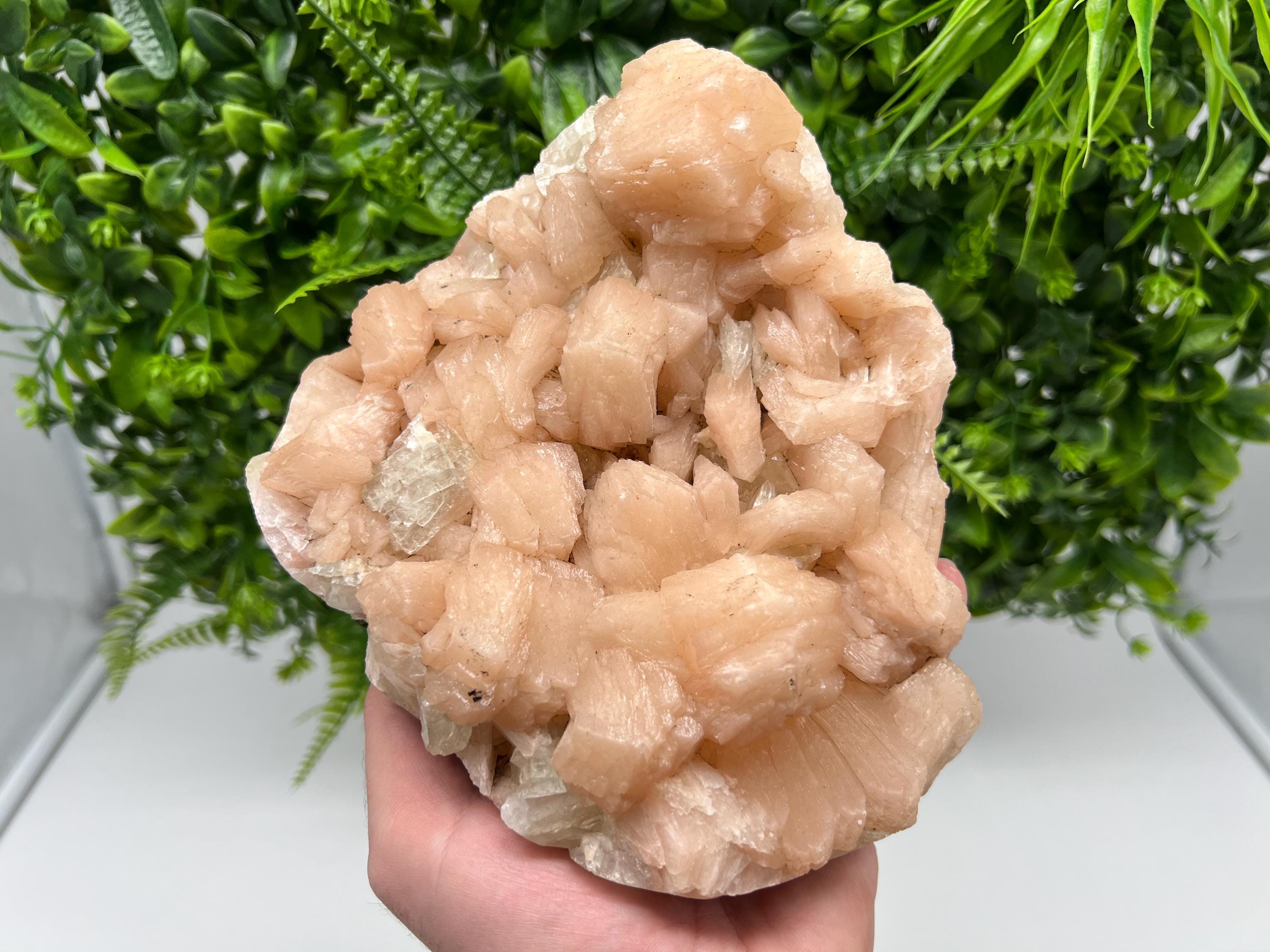 Apophyllite Stilbite on Chalcedony, India Crystal Specimen