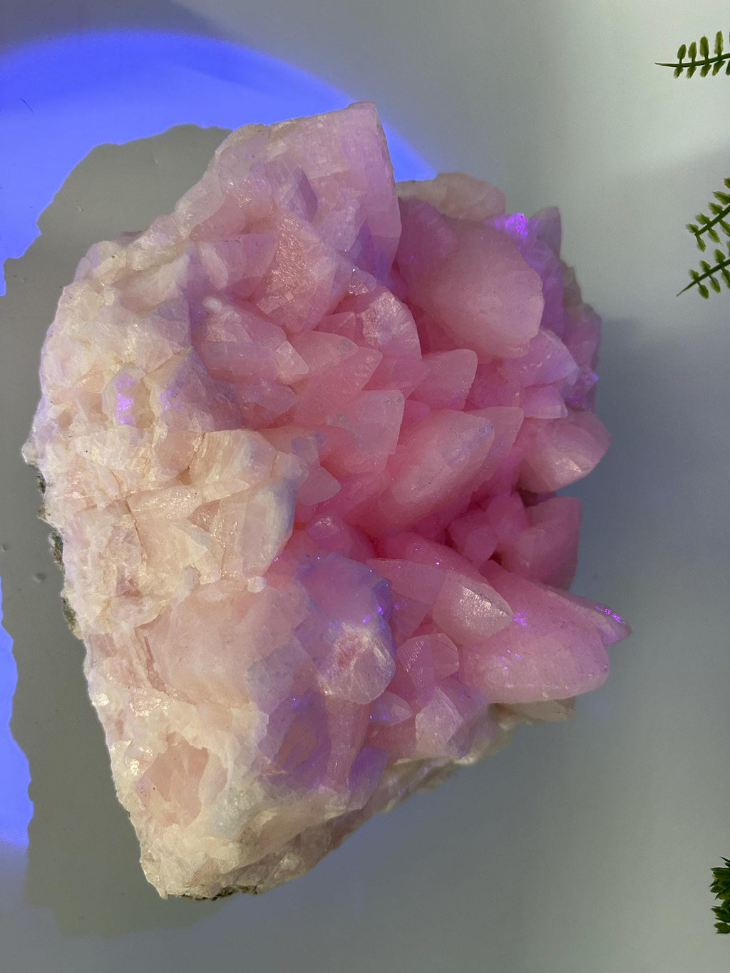 UV Reactive Mangano Calcite Crystal, Androvo Mine Bulgaria