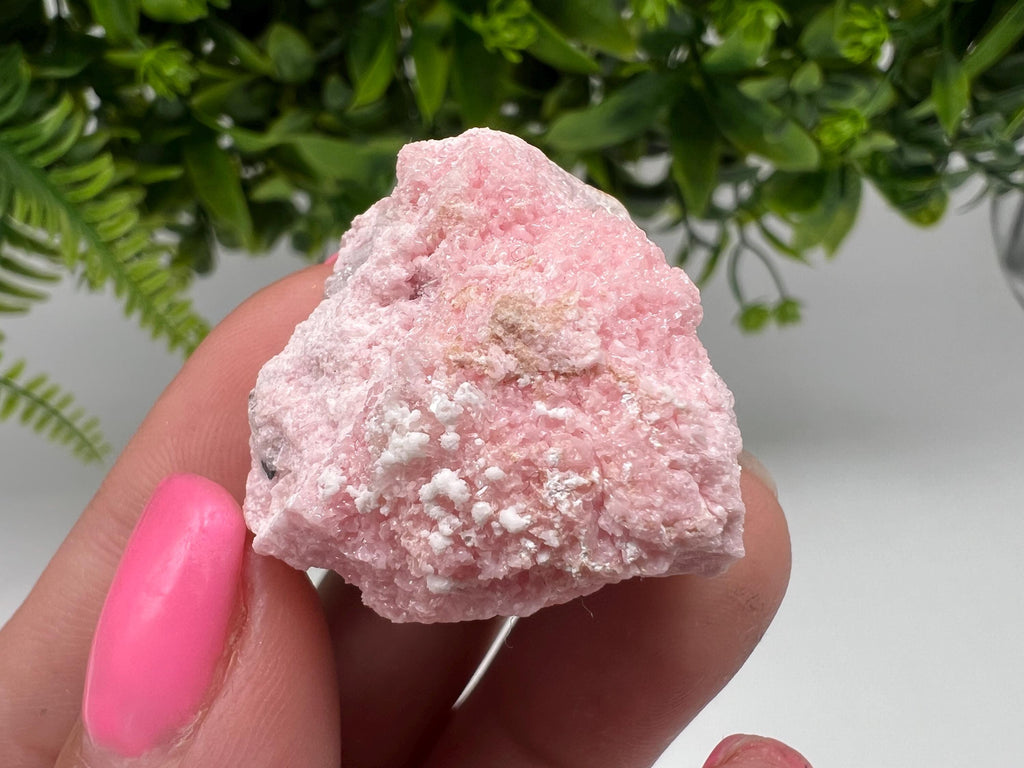 RARE Rhodochrosite with Calcite, Starnica Mine, Bulgaria