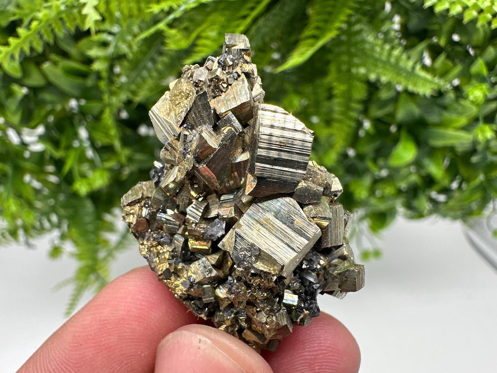 Rare Crystallized Pyrite Cluster - Borieva Mine, Bulgaria