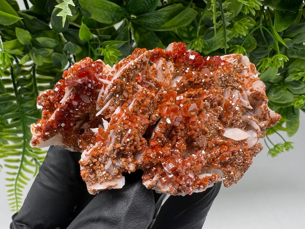 Red Vanadinite on Barite from Marocco,crystal minerals Speciment cluster Vanadinite crystal Vanadinite Geology Vanadinite cluster minerals