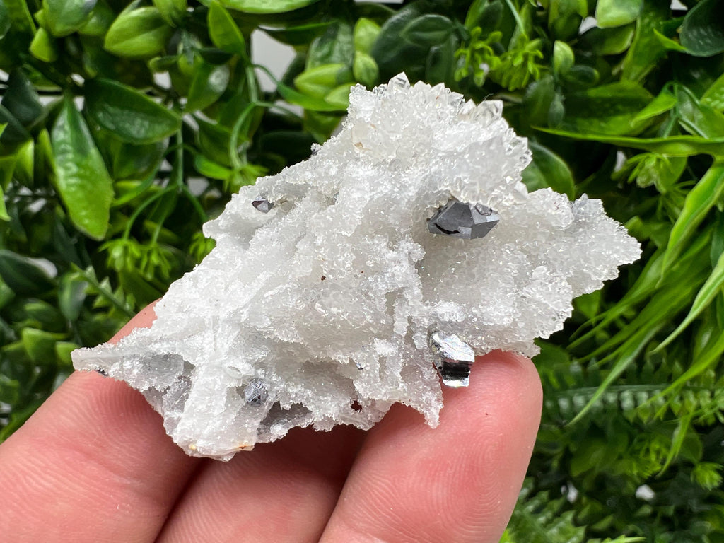 Galena on Chalcedony Specimen: Krushev Dol Mine, Bulgaria