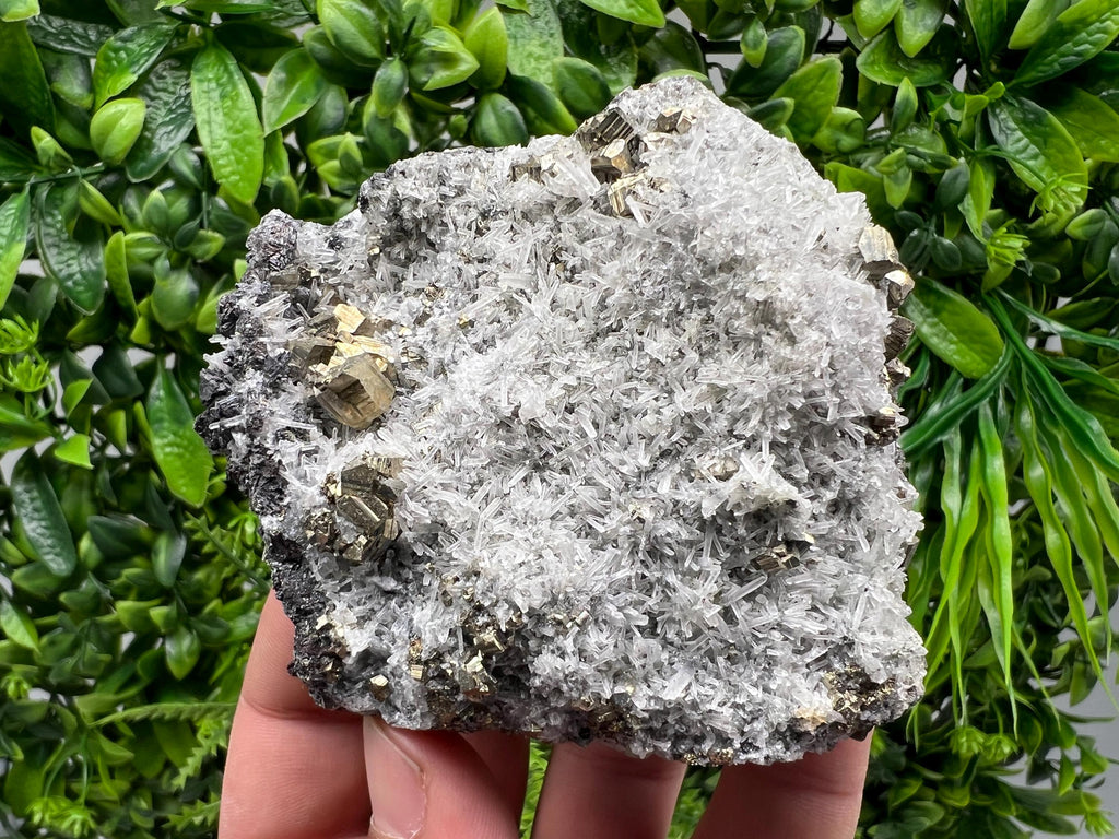 Rainbow Pyrite on Quartz, Natural Mineral Specimen, Borieva Bulgaria