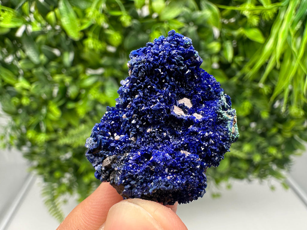 Crystallized Azurite-Kerrouchen,Morocco-Blue Azurite Specimen-High Quality Blue Azurite-Azurite Mineral Specimen, gemmy,lustrous of Azurite