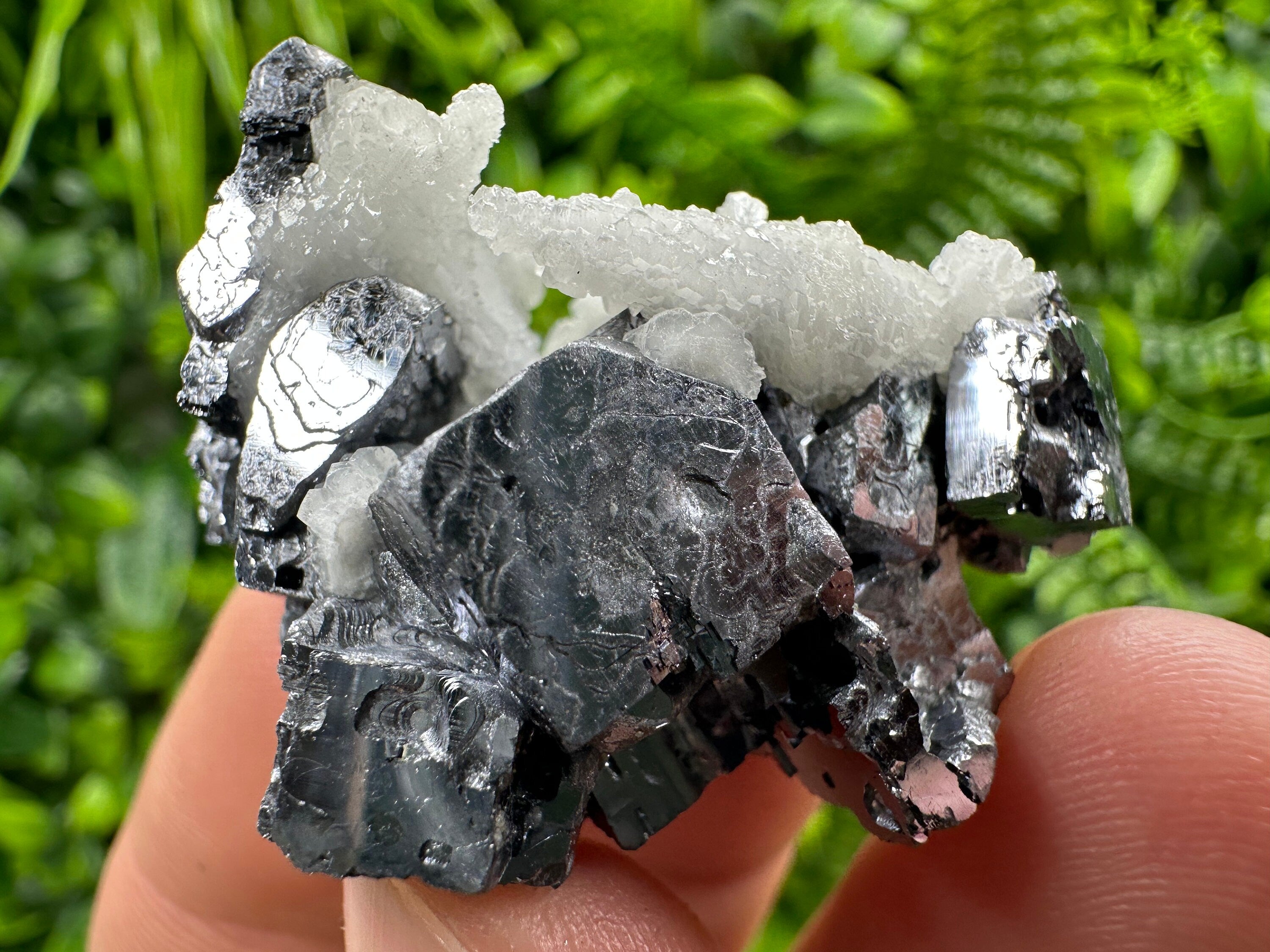 Rare Calcite on Galena: Borieva Mine, Bulgaria