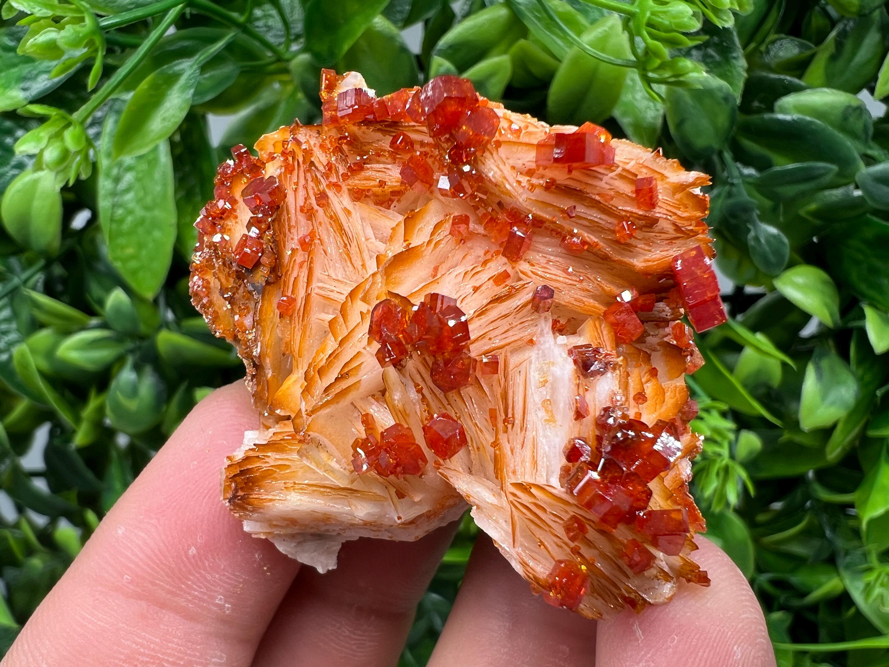Red Vanadinite on Barite from Marocco,crystal minerals Speciment cluster Vanadinite crystal Vanadinite Geology Vanadinite cluster minerals