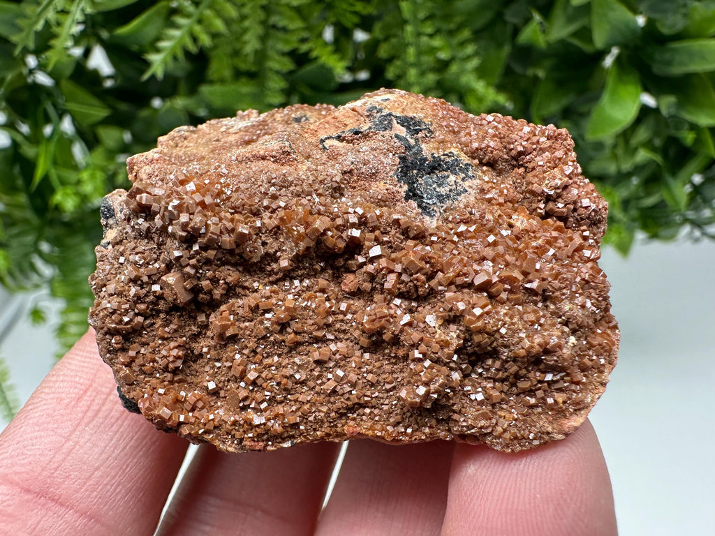 Red Vanadinite on Matrix from Marocco,crystal minerals Speciment cluster Vanadinite crystal Vanadinite Geology Vanadinite cluster minerals