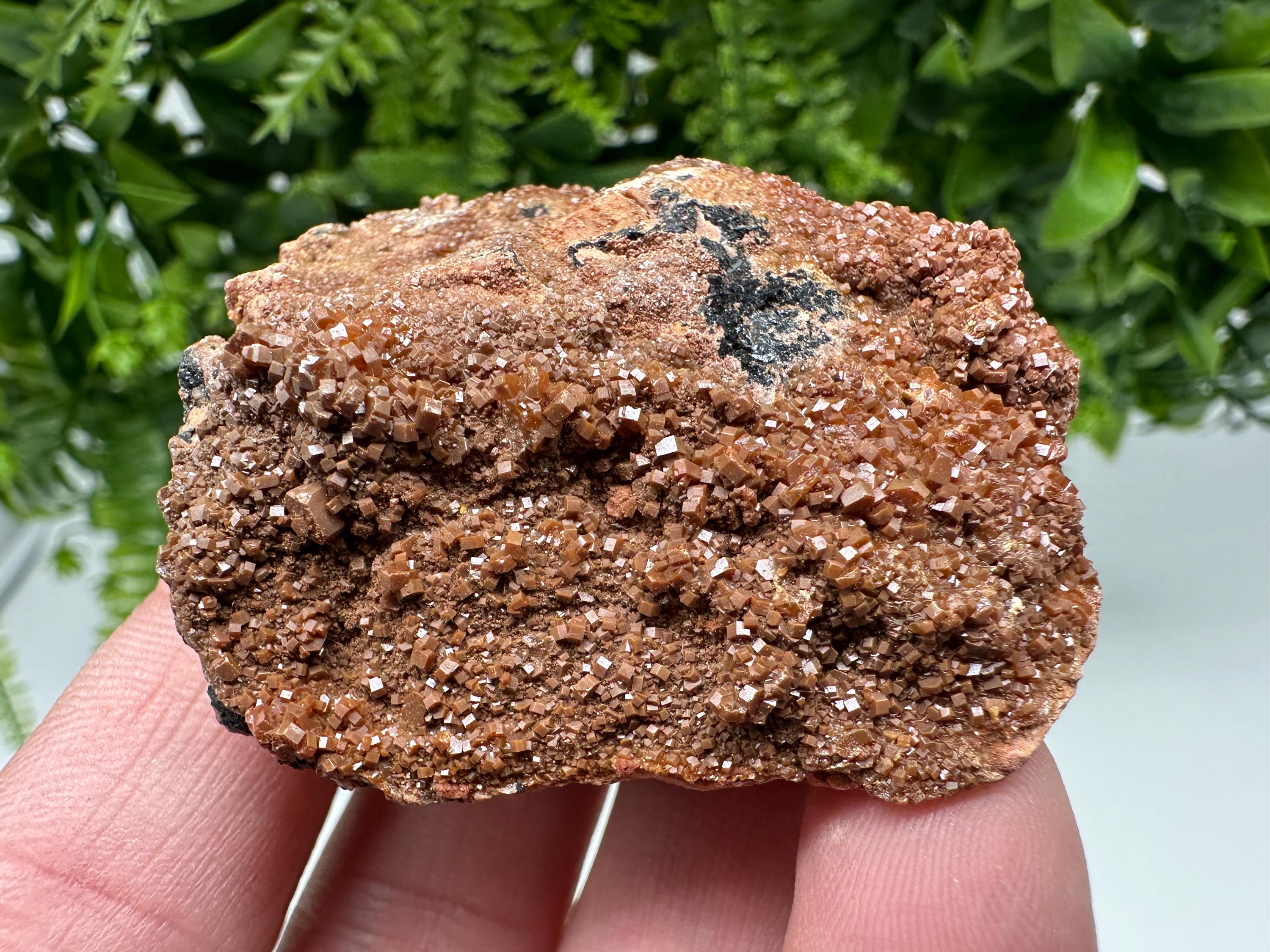 Red Vanadinite on Matrix from Marocco,crystal minerals Speciment cluster Vanadinite crystal Vanadinite Geology Vanadinite cluster minerals