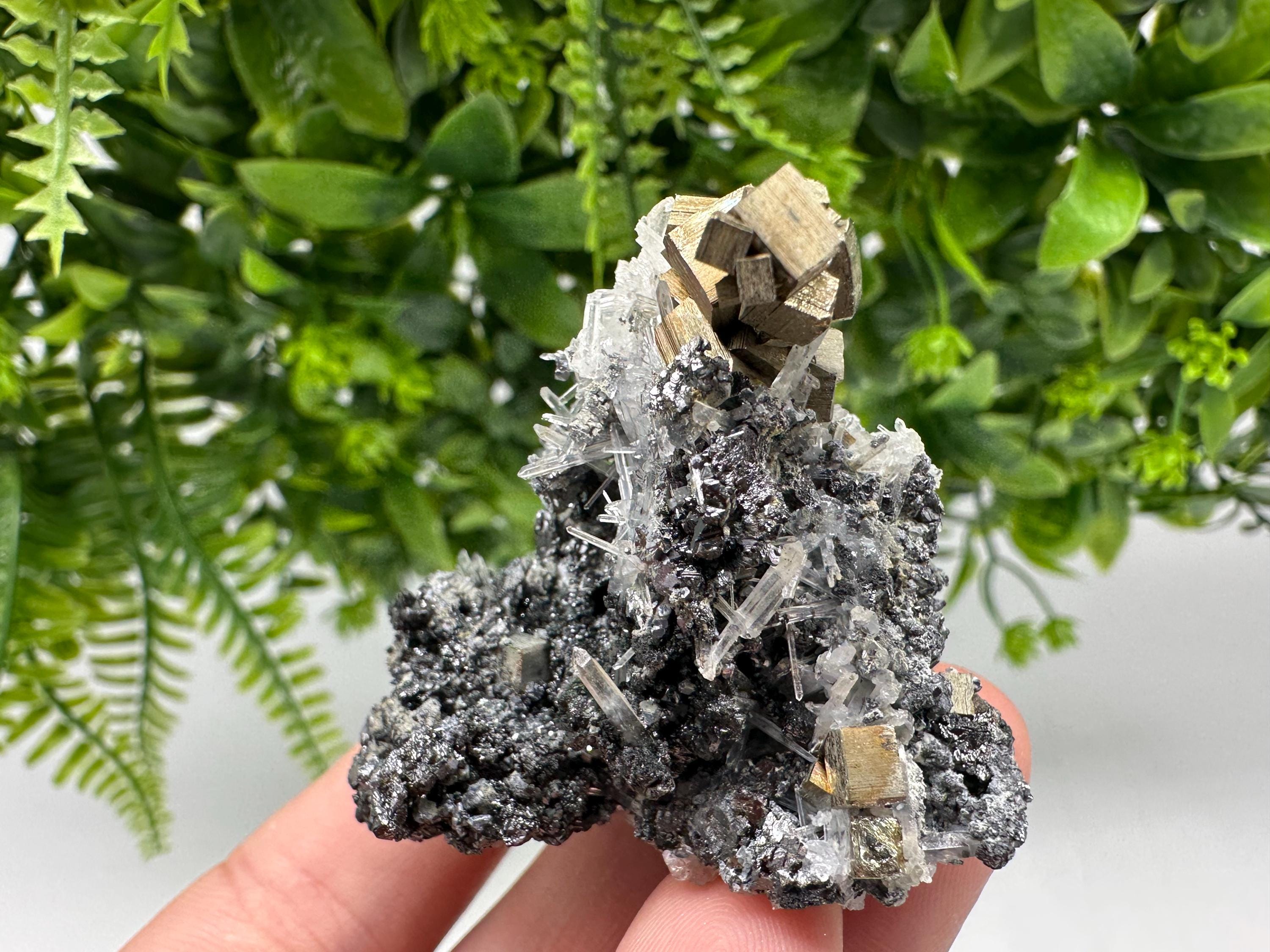 Pyrite on Green Quartz: Rare Crystal Mineral Specimen, Bulgaria