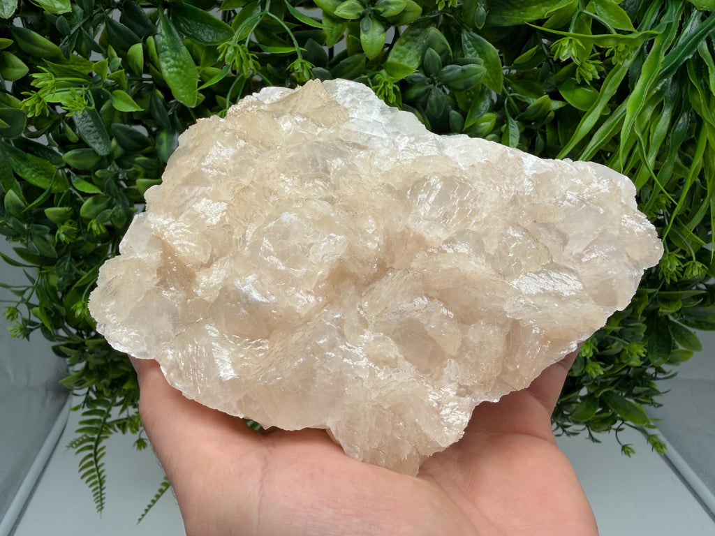 Mangano Calcite with Galena, Borieva Mine, Bulgaria