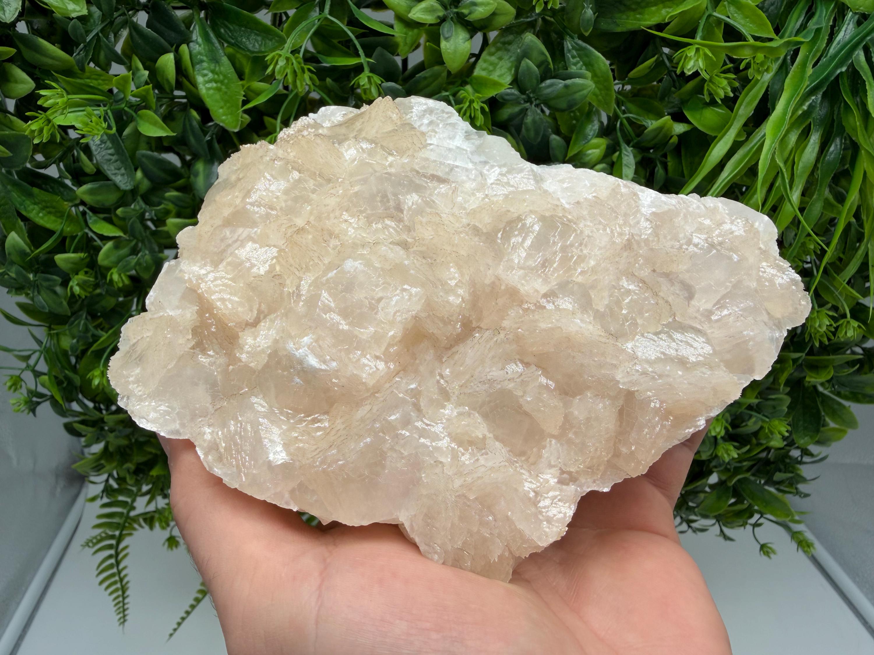 Mangano Calcite with Galena, Borieva Mine, Bulgaria