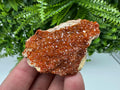 Red Vanadinite Crystal on Barite, Morocco Mineral Specimen