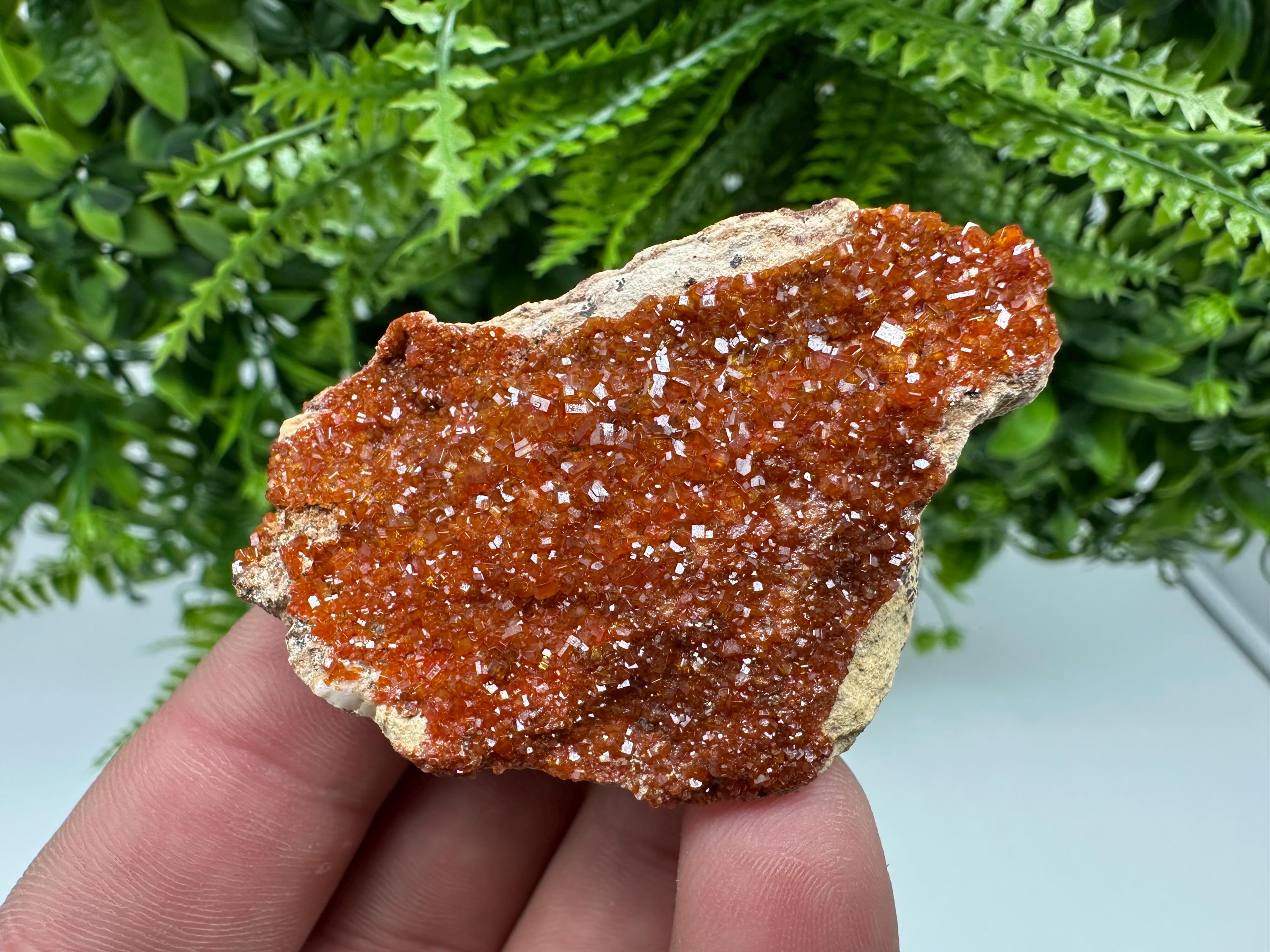 Red Vanadinite Crystal on Barite, Morocco Mineral Specimen