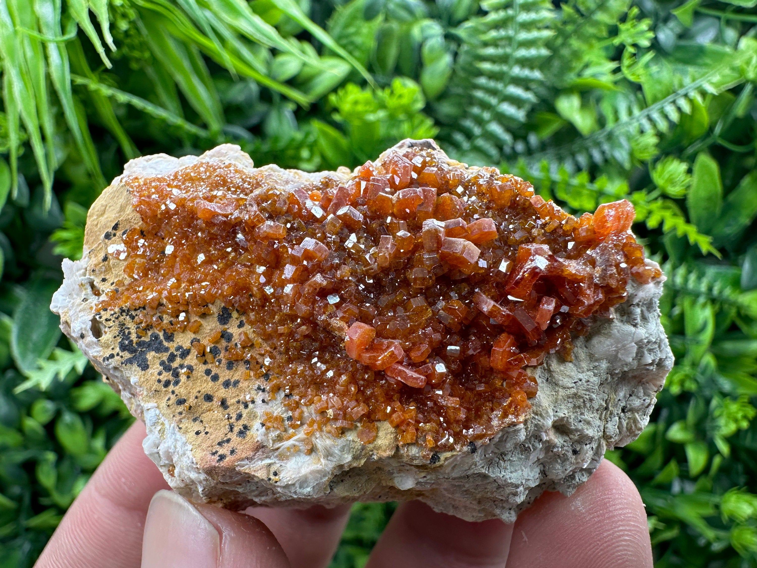 Red Vanadinite Crystal Cluster on Matrix, Morocco Mineral Specimen