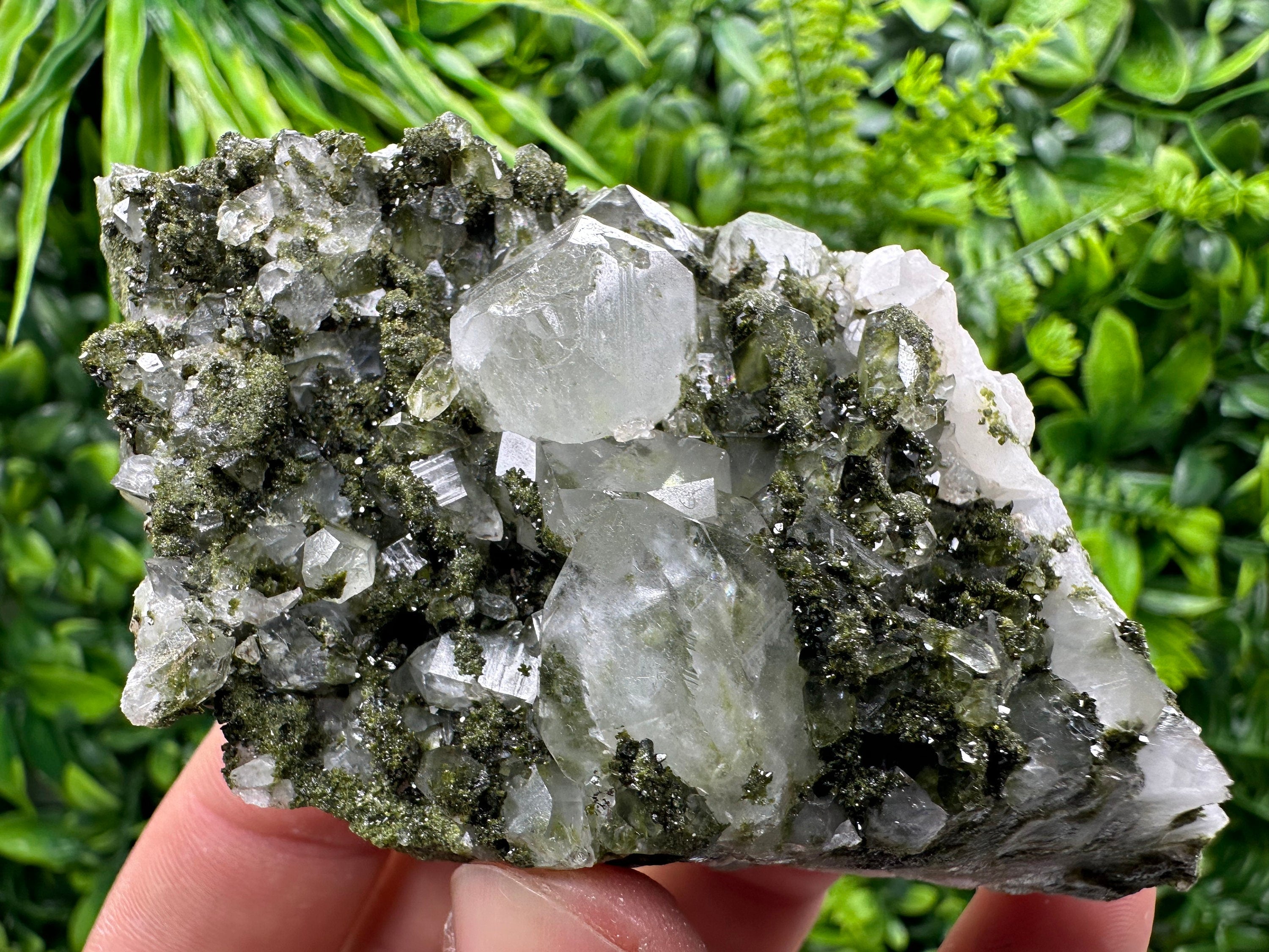 Rare Green Epidote with Quartz Crystals: Sparkly Rainbow Mineral Decor