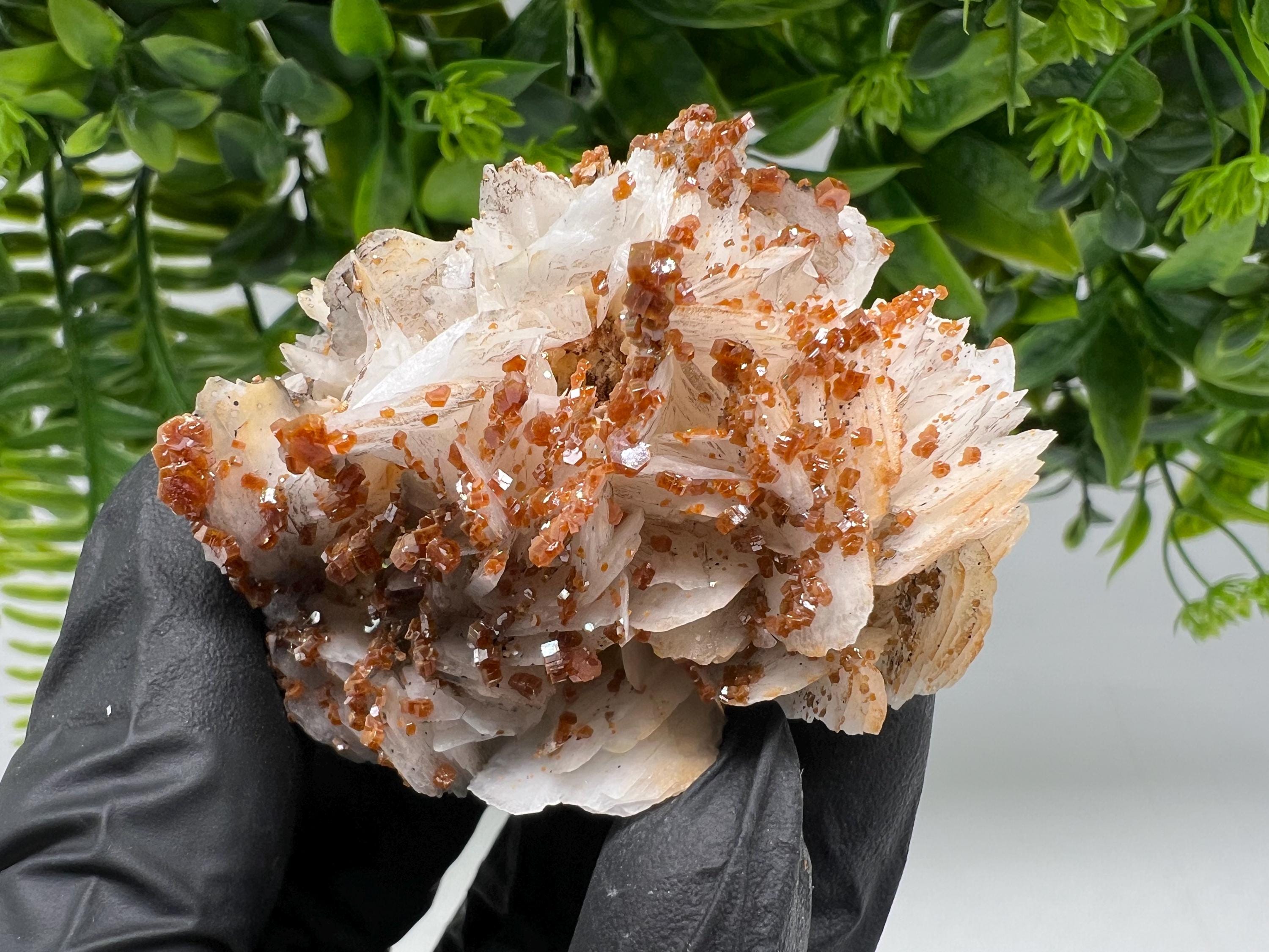 Red Vanadinite on Barite from Marocco,crystal minerals Speciment cluster Vanadinite crystal Vanadinite Geology Vanadinite cluster minerals