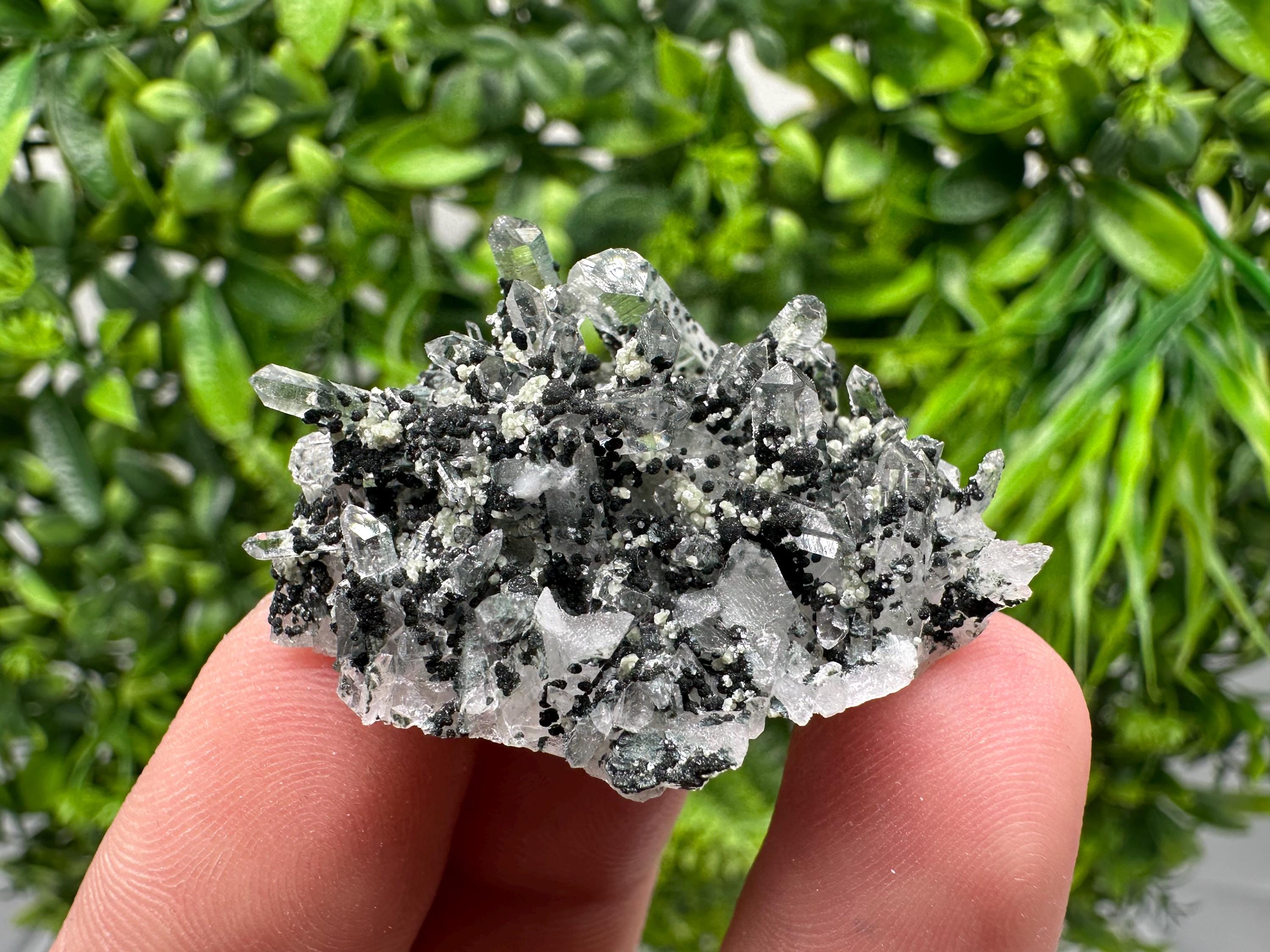 Chlorite Quartz Mineral Specimen, Borieva Mine, Bulgaria