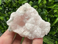 Mangano Calcite with Galena, Borieva Mine, Bulgaria