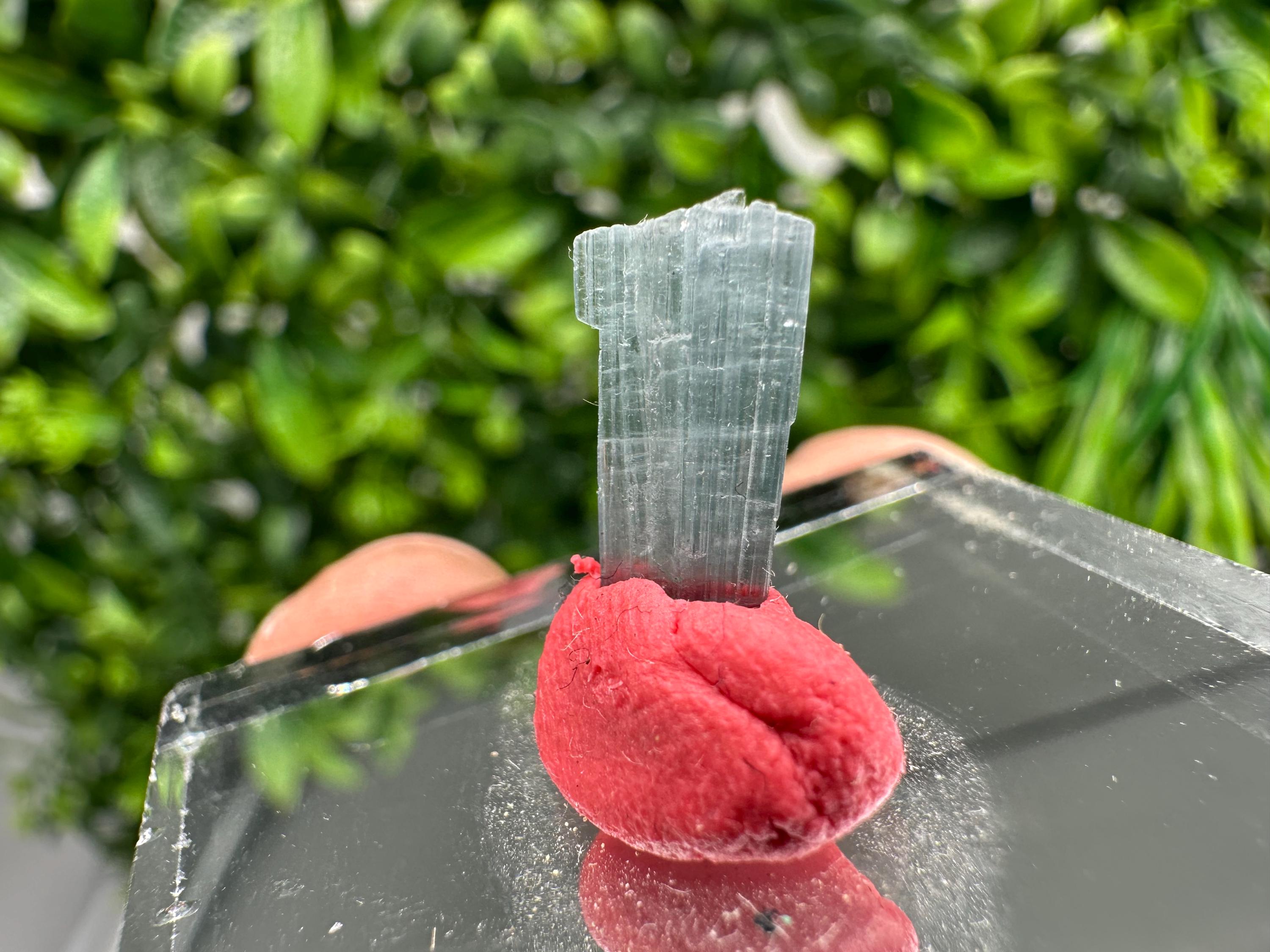 Rare Pink and Green Tourmaline Rubellite Rough Pencil - 15mm